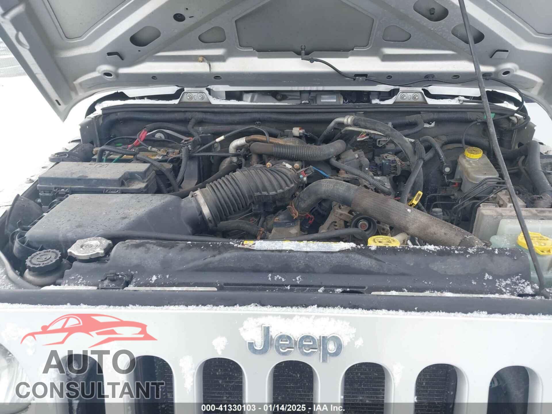 JEEP WRANGLER 2010 - 1J4AA2D11AL194161