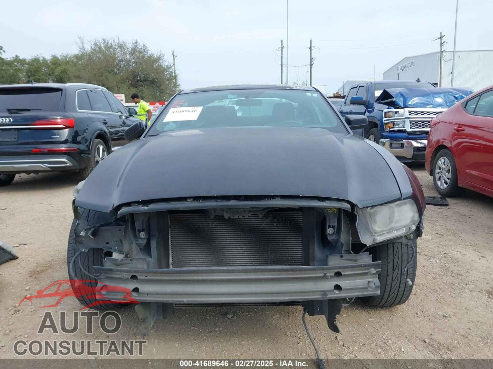 FORD MUSTANG 2014 - 1ZVBP8AM8E5280858