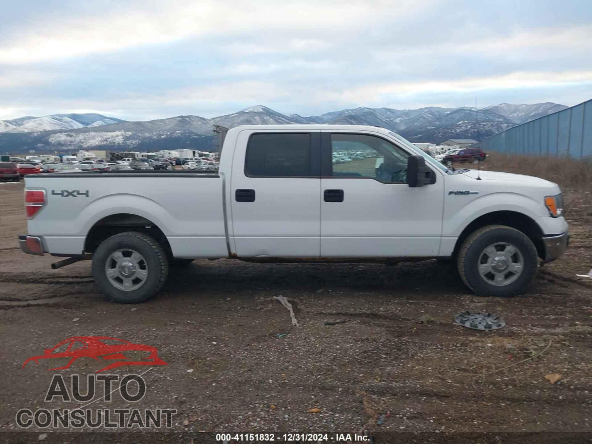 FORD F-150 2010 - 1FTFW1EV4AFD68862
