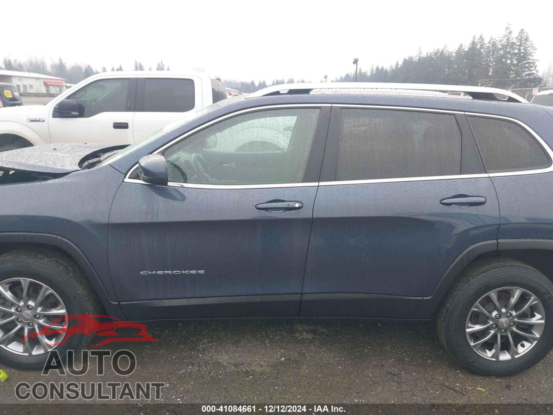 JEEP CHEROKEE 2020 - 1C4PJMLB8LD555677