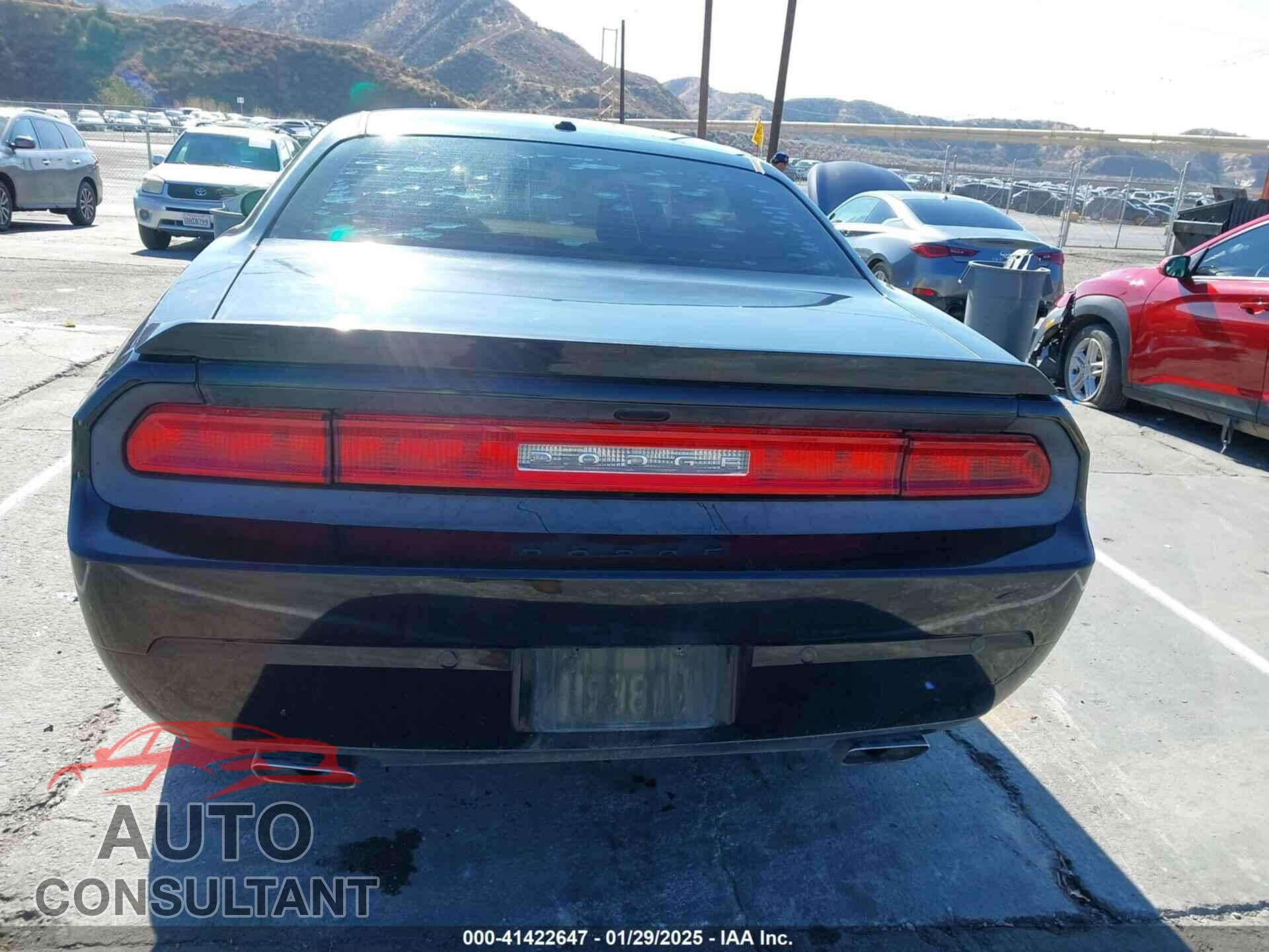 DODGE CHALLENGER 2013 - 2C3CDYBT4DH517881
