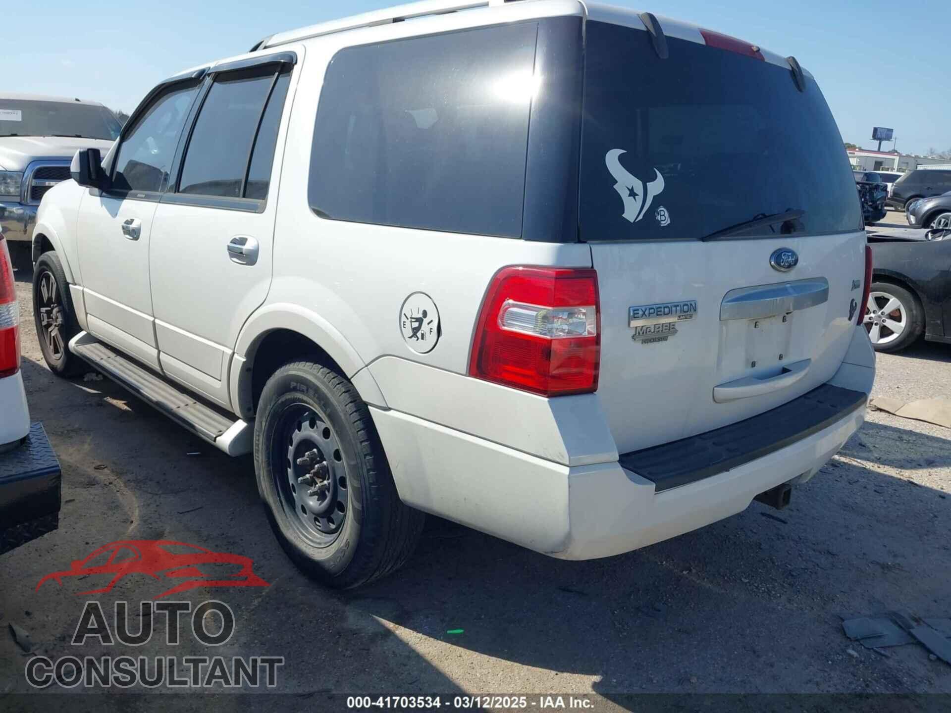 FORD EXPEDITION 2009 - 1FMFU19589EB00894