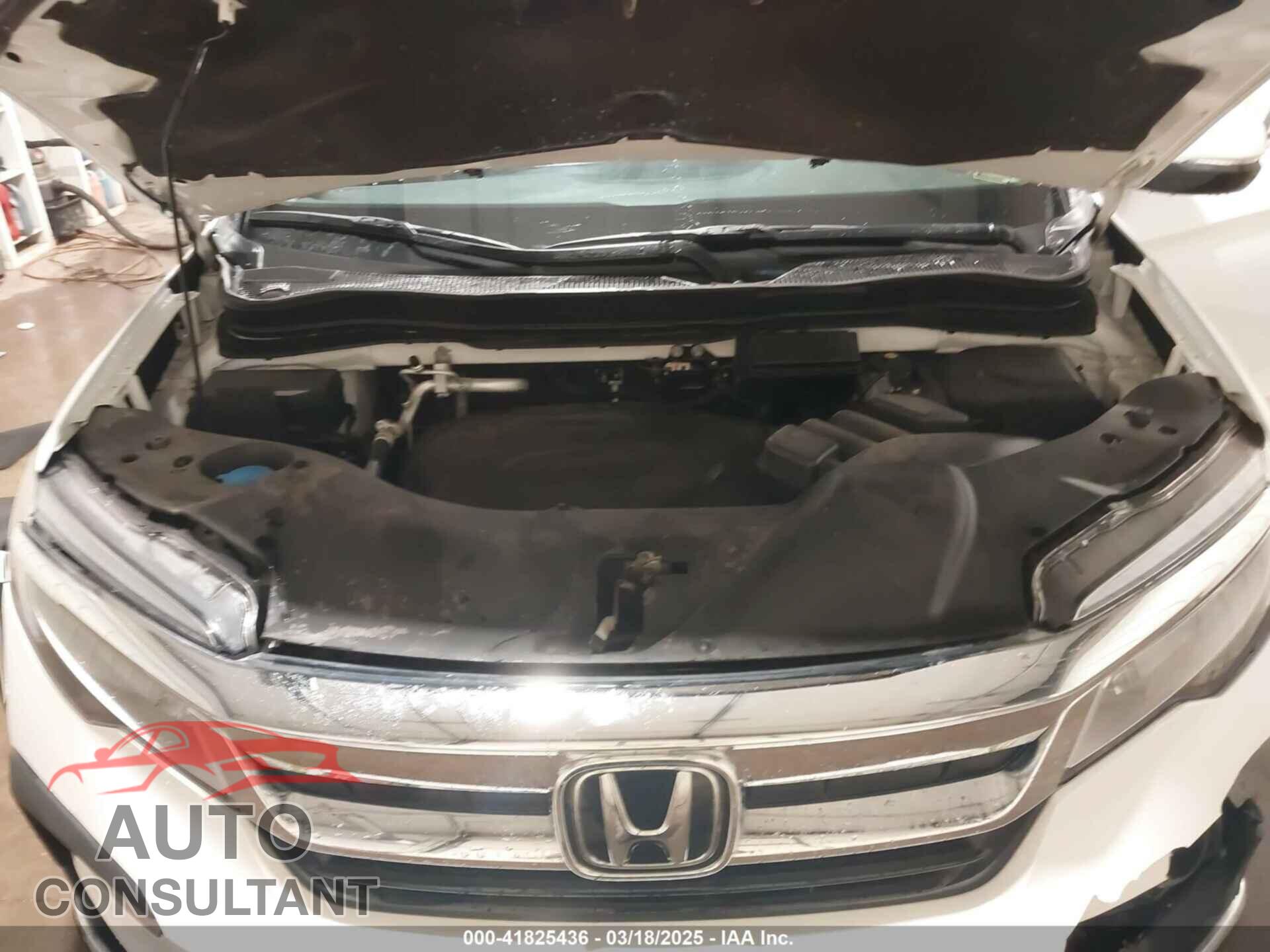 HONDA PILOT 2021 - 5FNYF6H07MB041824