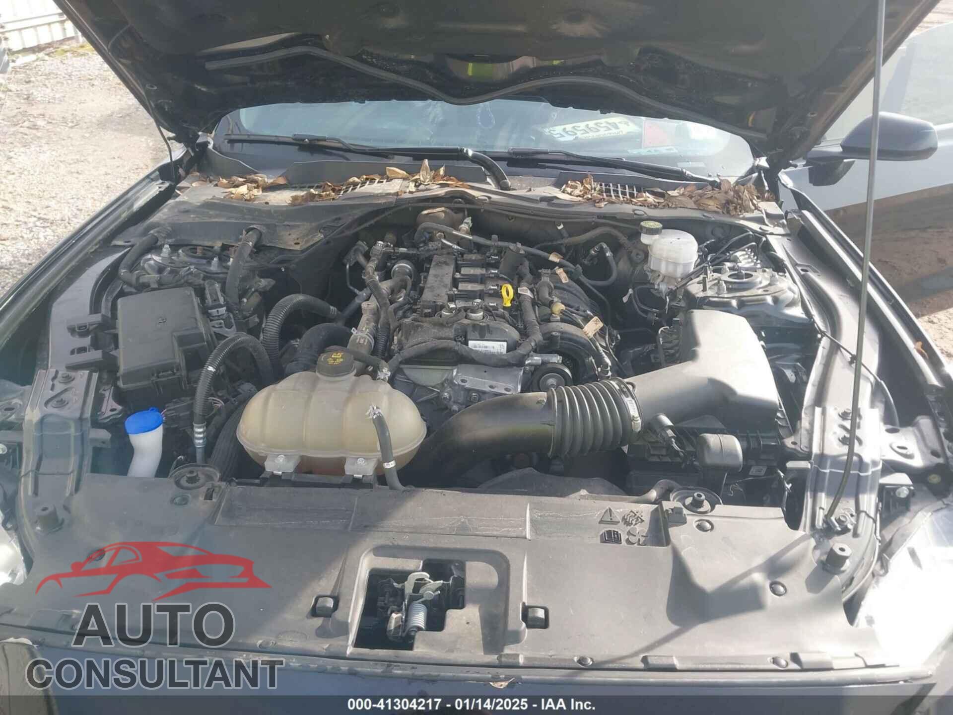 FORD MUSTANG 2021 - 1FA6P8TH5M5120087