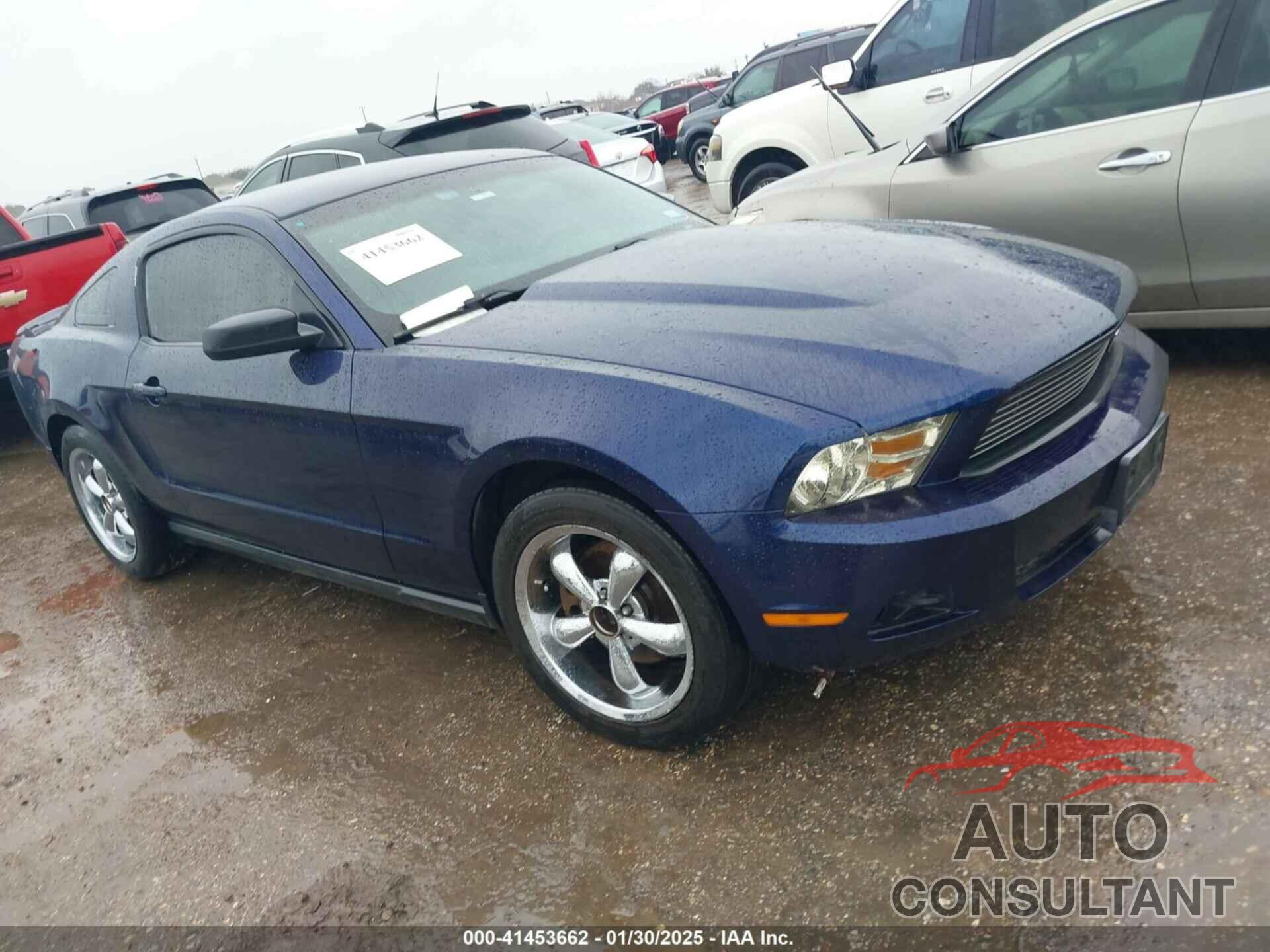 FORD MUSTANG 2011 - 1ZVBP8AMXB5136501