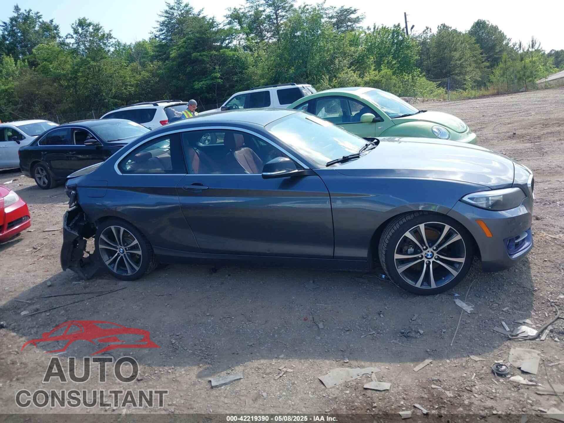 BMW 228I 2014 - WBA1F5C59EV246205