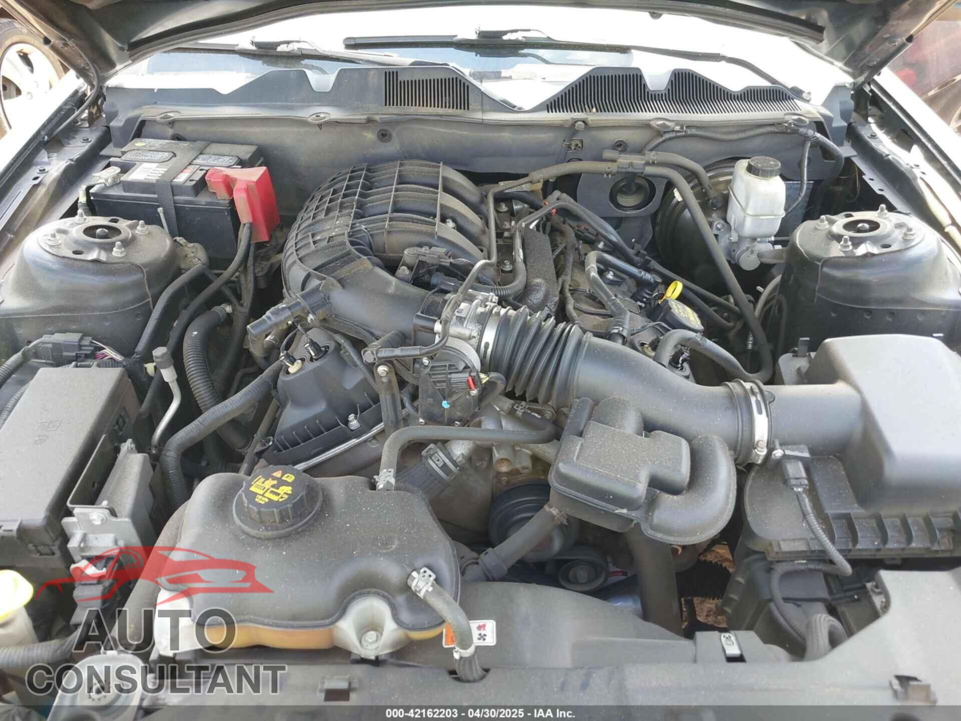 FORD MUSTANG 2013 - 1ZVBP8AM4D5243305