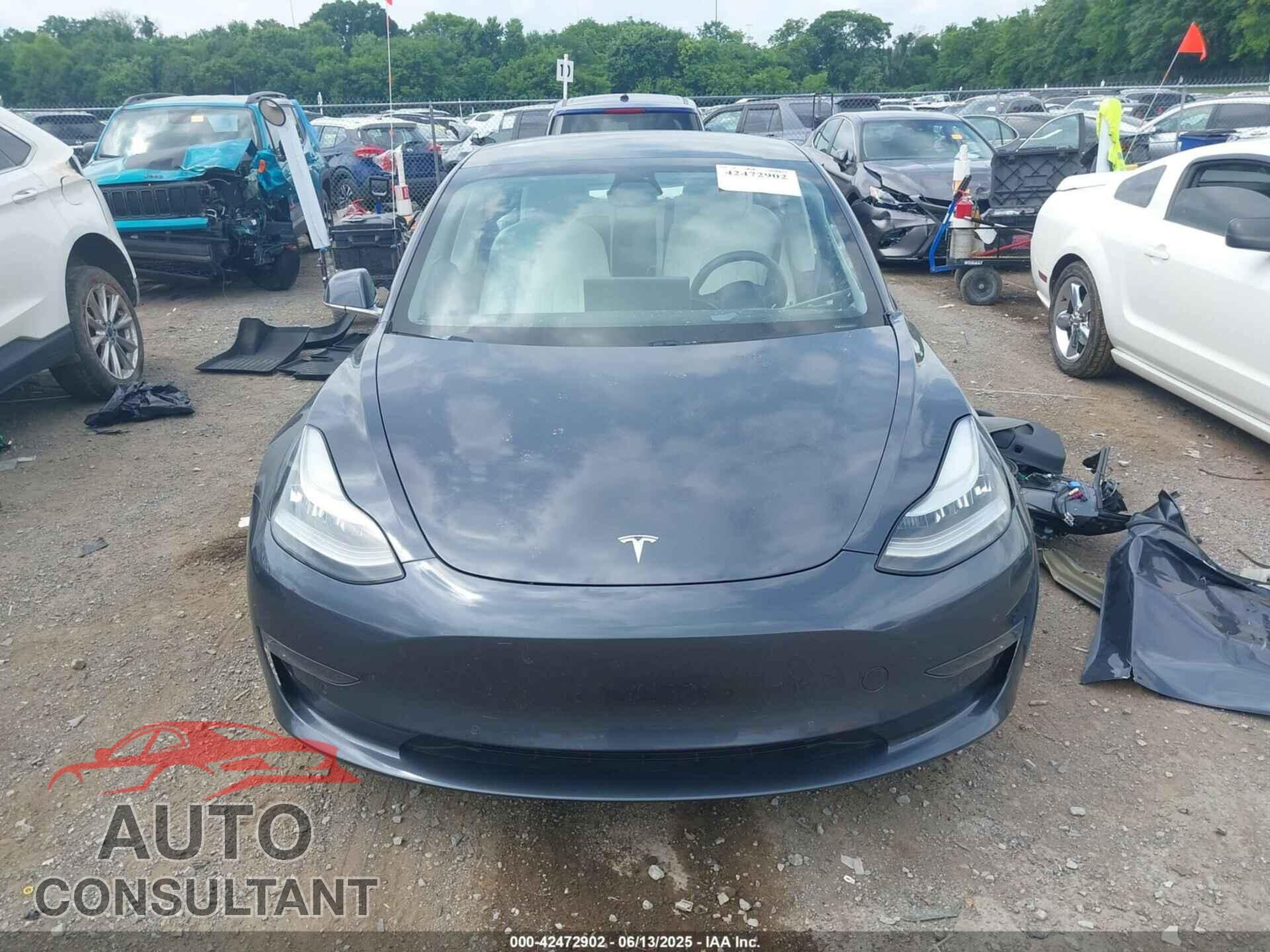 TESLA MODEL 3 2019 - 5YJ3E1EA7KF529830
