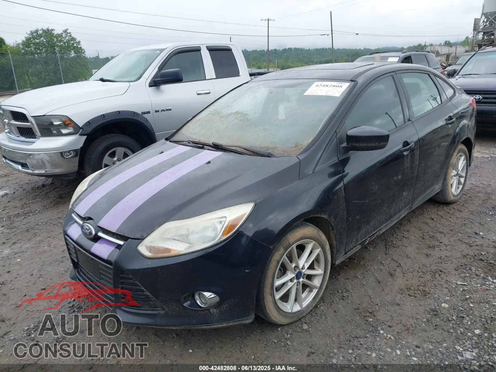 FORD FOCUS 2012 - 1FAHP3F21CL460902