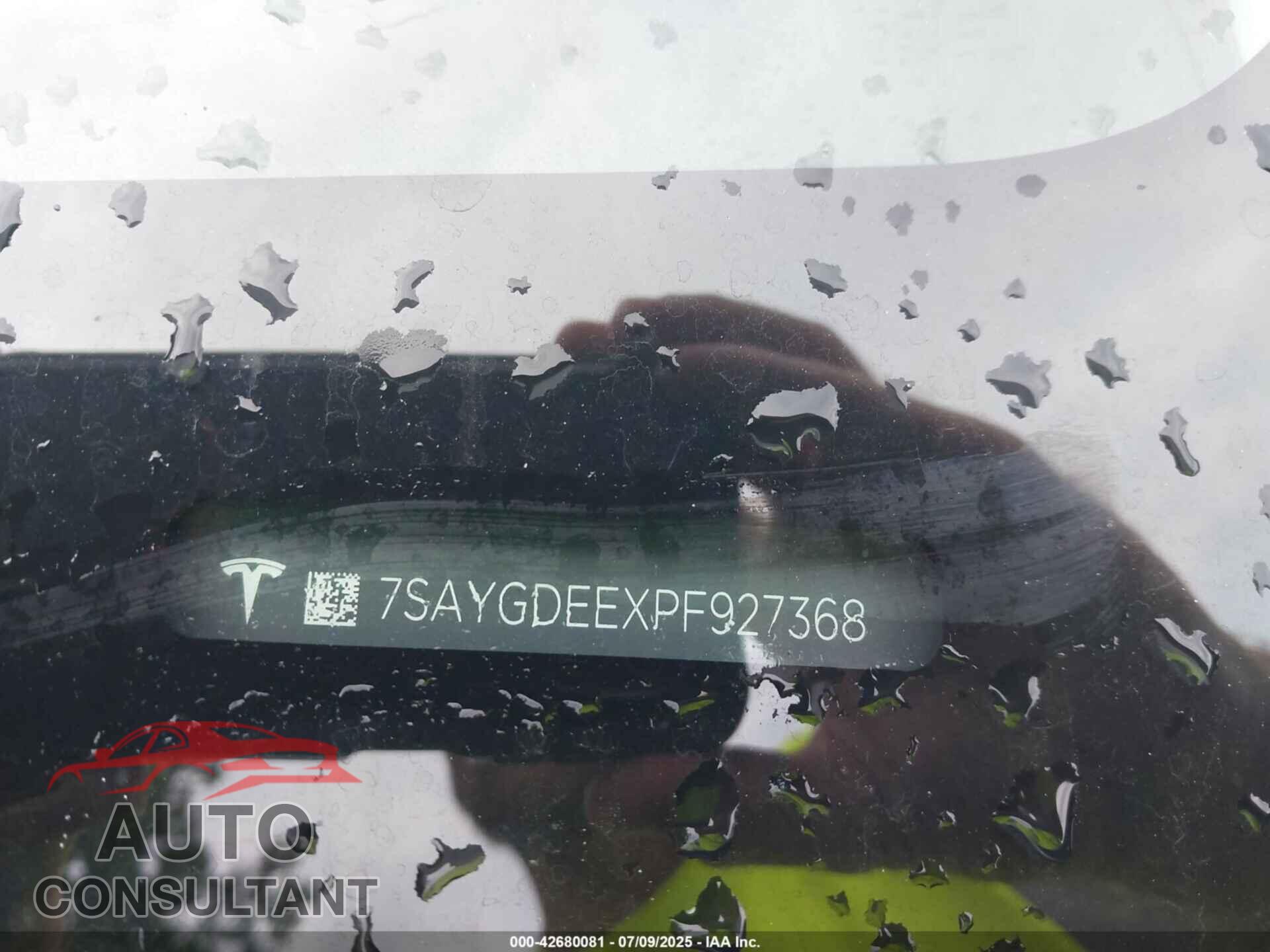 TESLA MODEL Y 2023 - 7SAYGDEEXPF927368