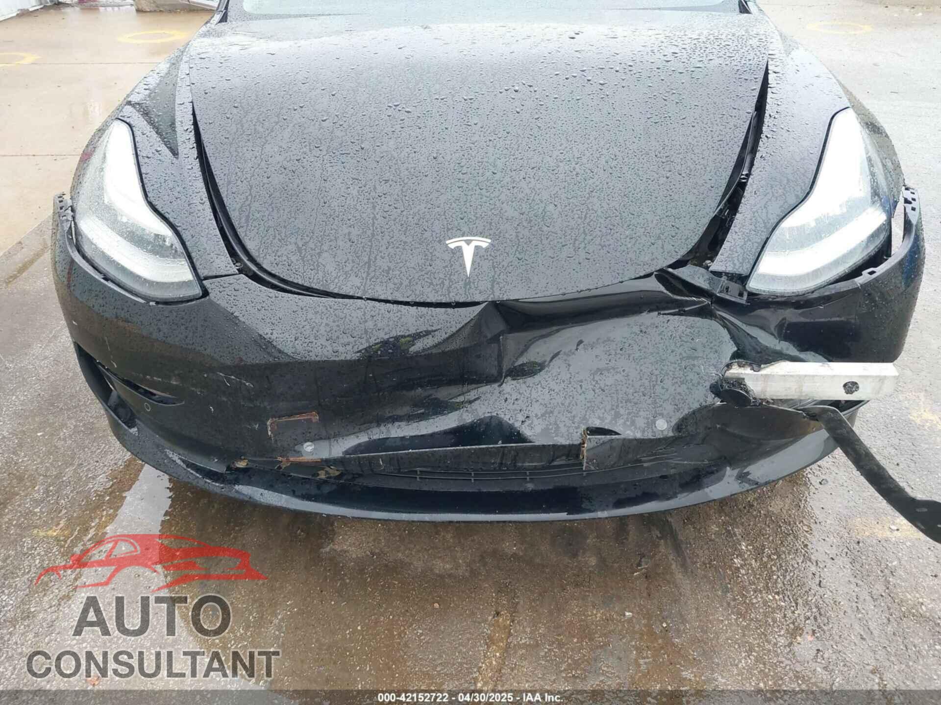 TESLA MODEL 3 2019 - 5YJ3E1EA3KF403013