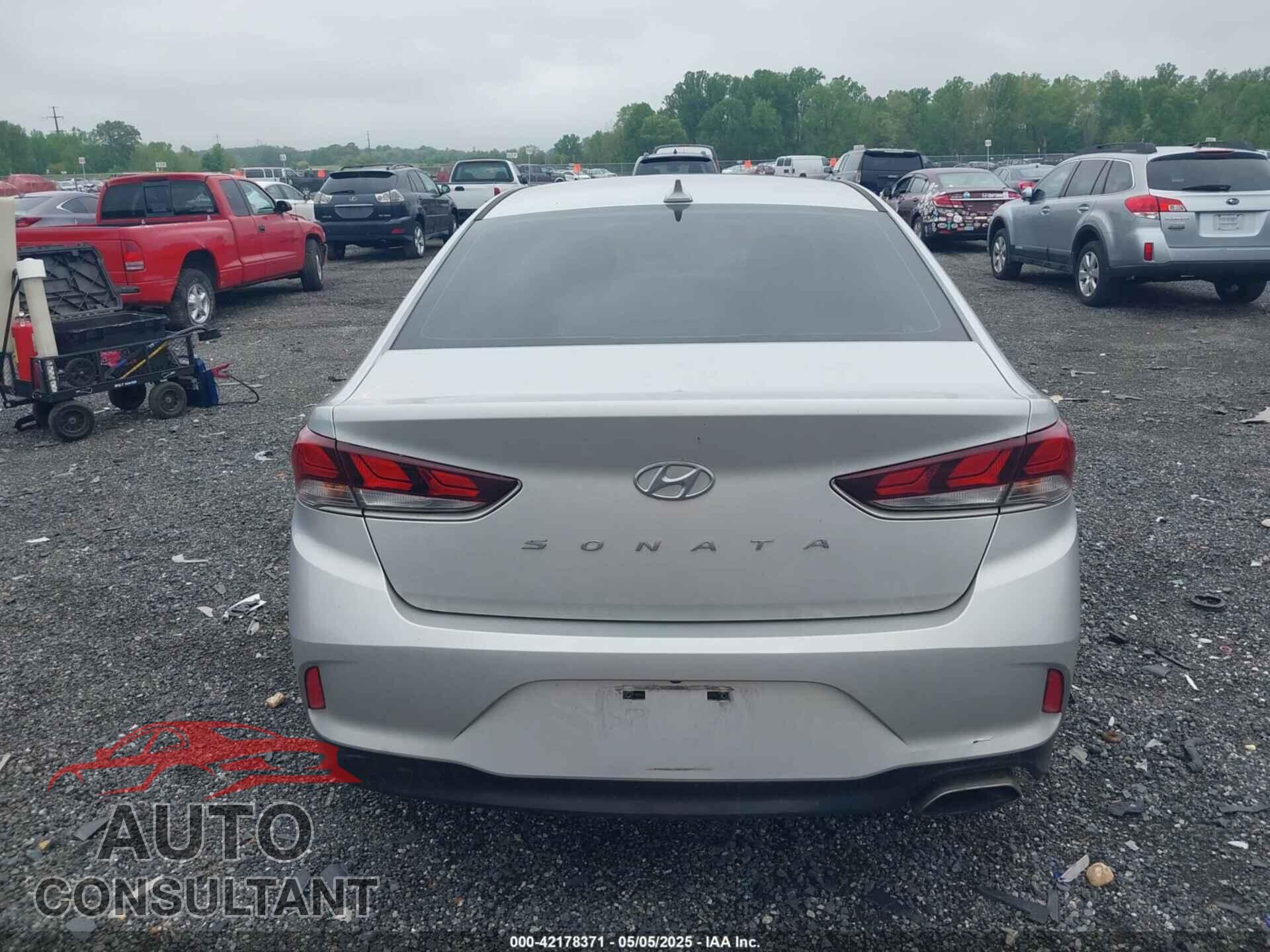 HYUNDAI SONATA 2019 - 5NPE34AF2KH783061