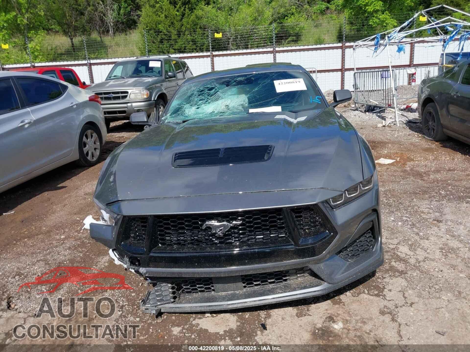 FORD MUSTANG 2024 - 1FA6P8CF4R5436103