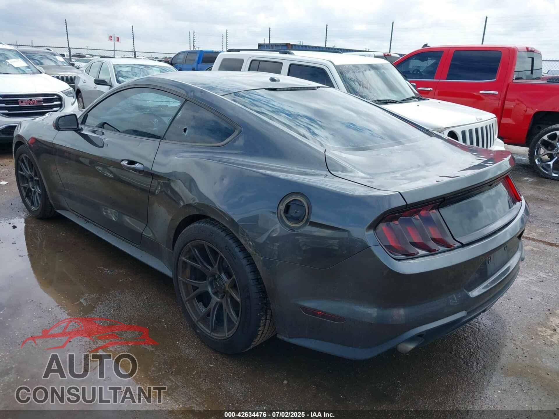 FORD MUSTANG 2019 - 1FA6P8TH8K5143134