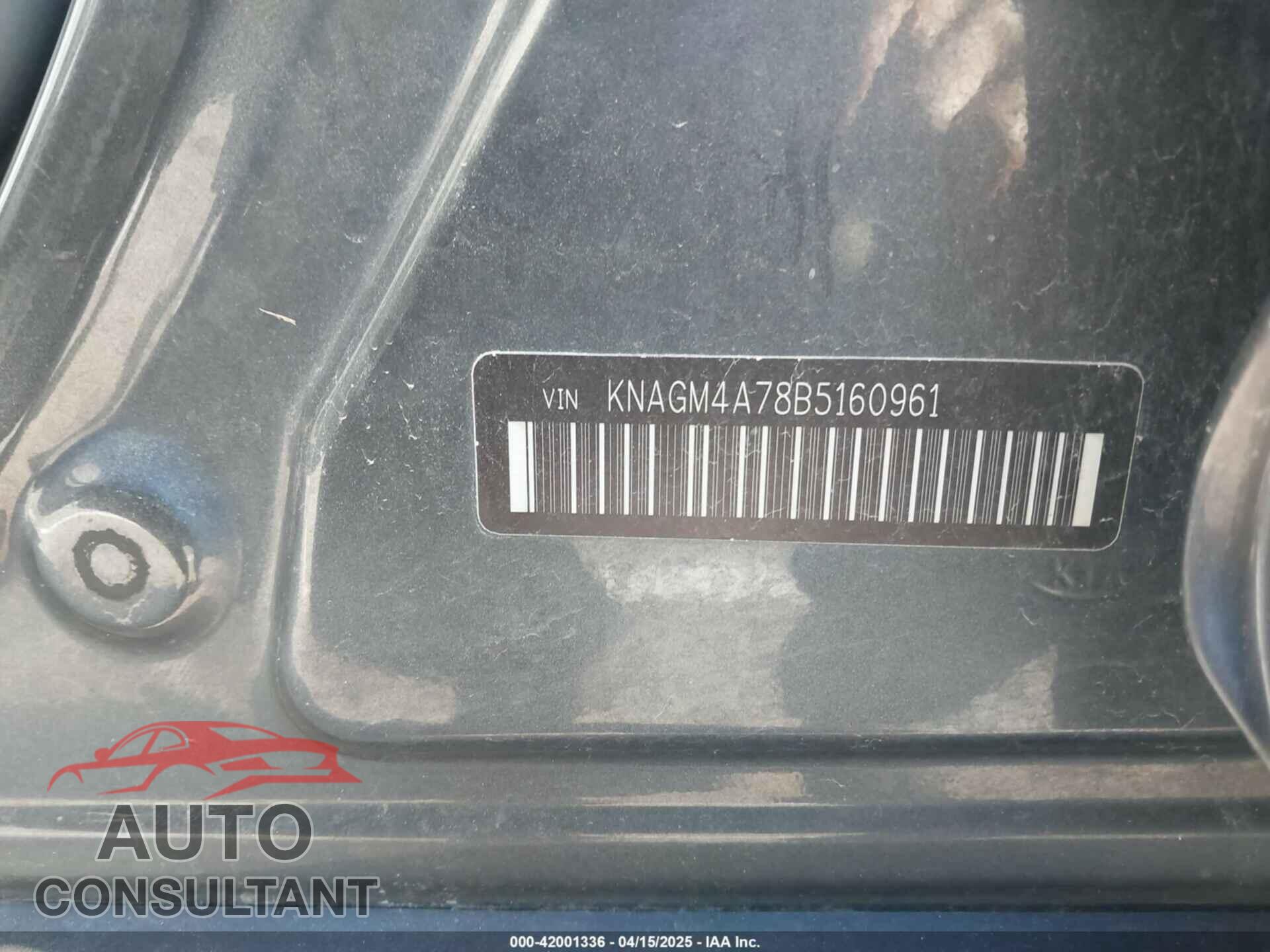 KIA OPTIMA 2011 - KNAGM4A78B5160961