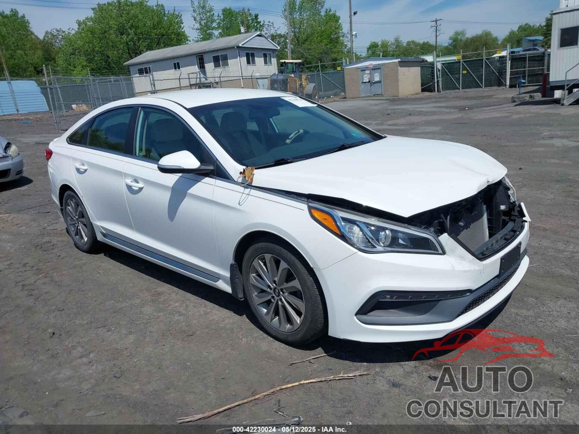 HYUNDAI SONATA 2016 - 5NPE34AF7GH392737