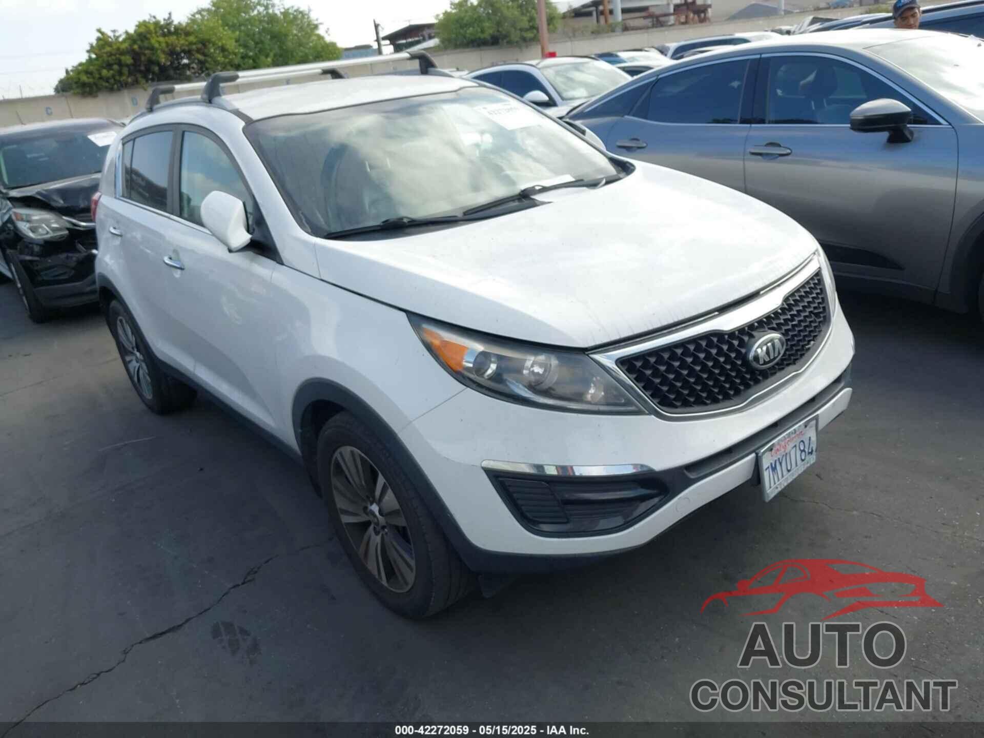 KIA SPORTAGE 2016 - KNDPC3AC1G7806527