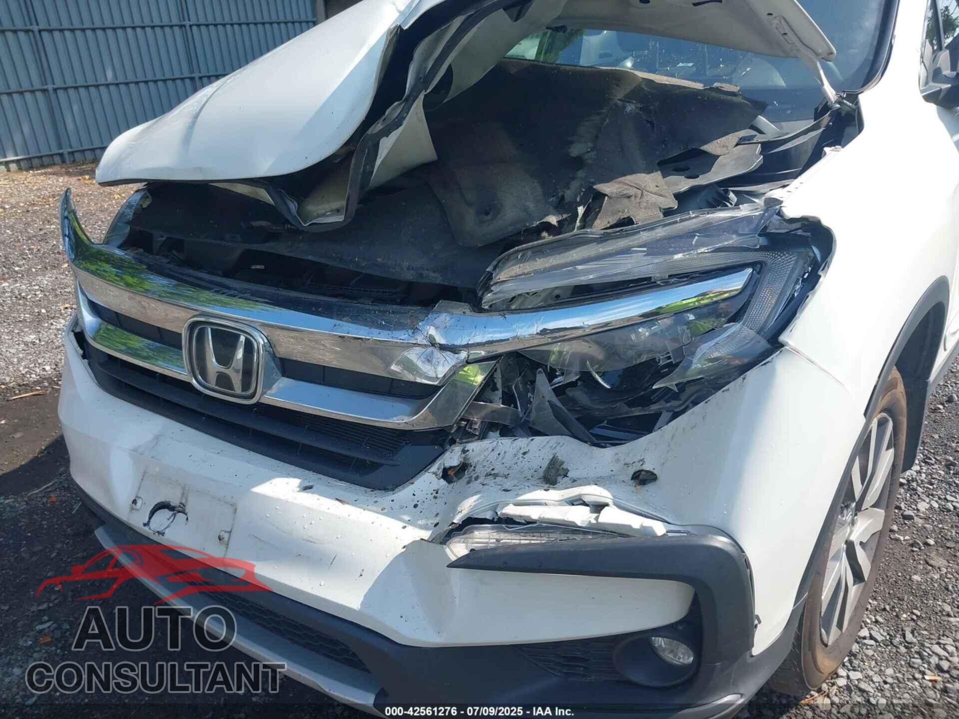 HONDA PILOT 2021 - 5FNYF6H38MB072297