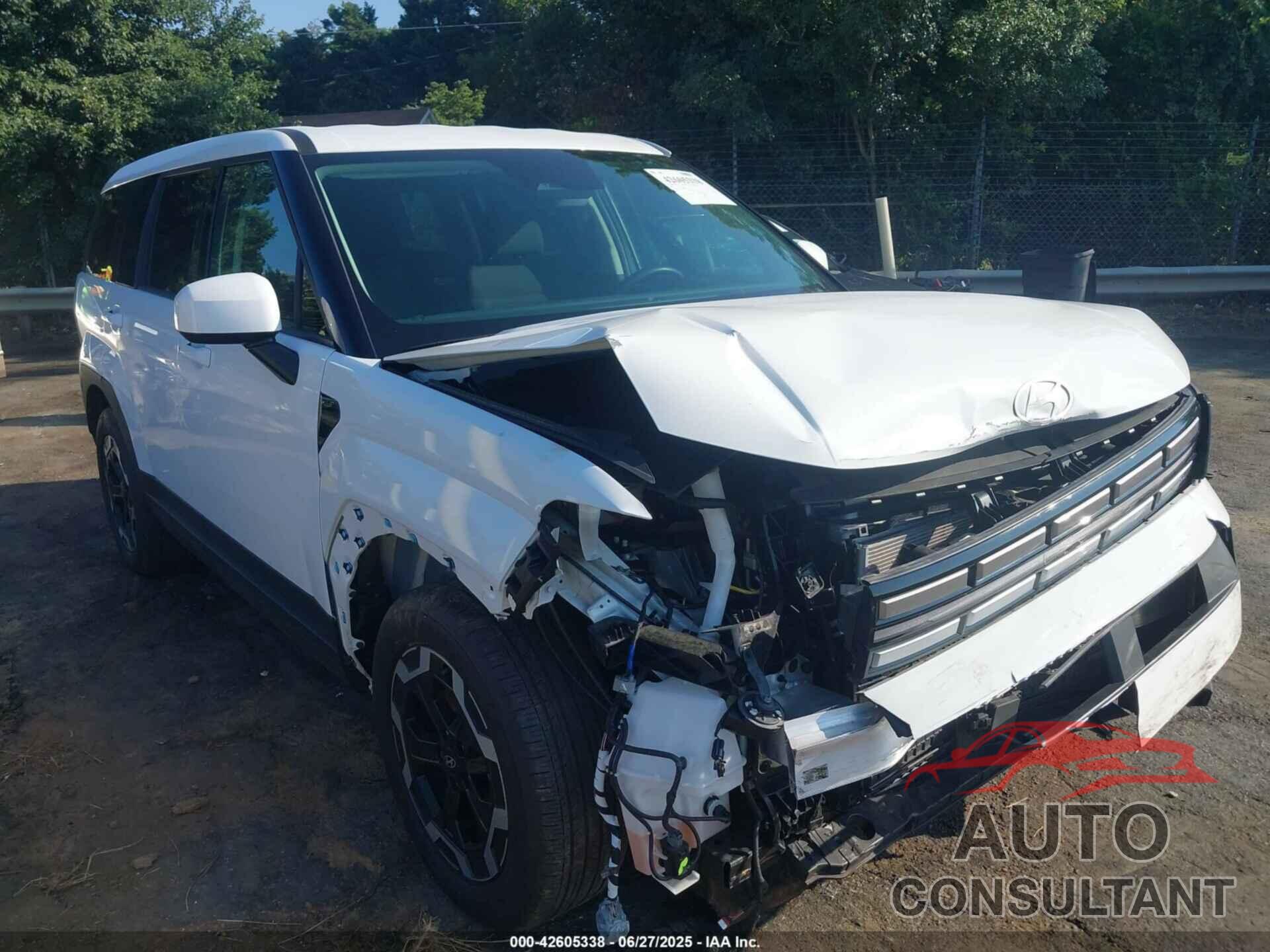 HYUNDAI SANTA FE 2024 - 5NMP14GL9RH008808