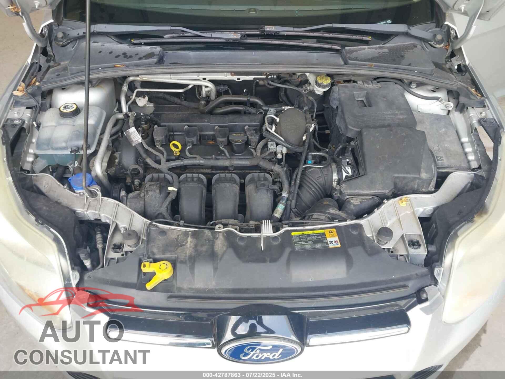 FORD FOCUS 2012 - 1FAHP3F25CL224401