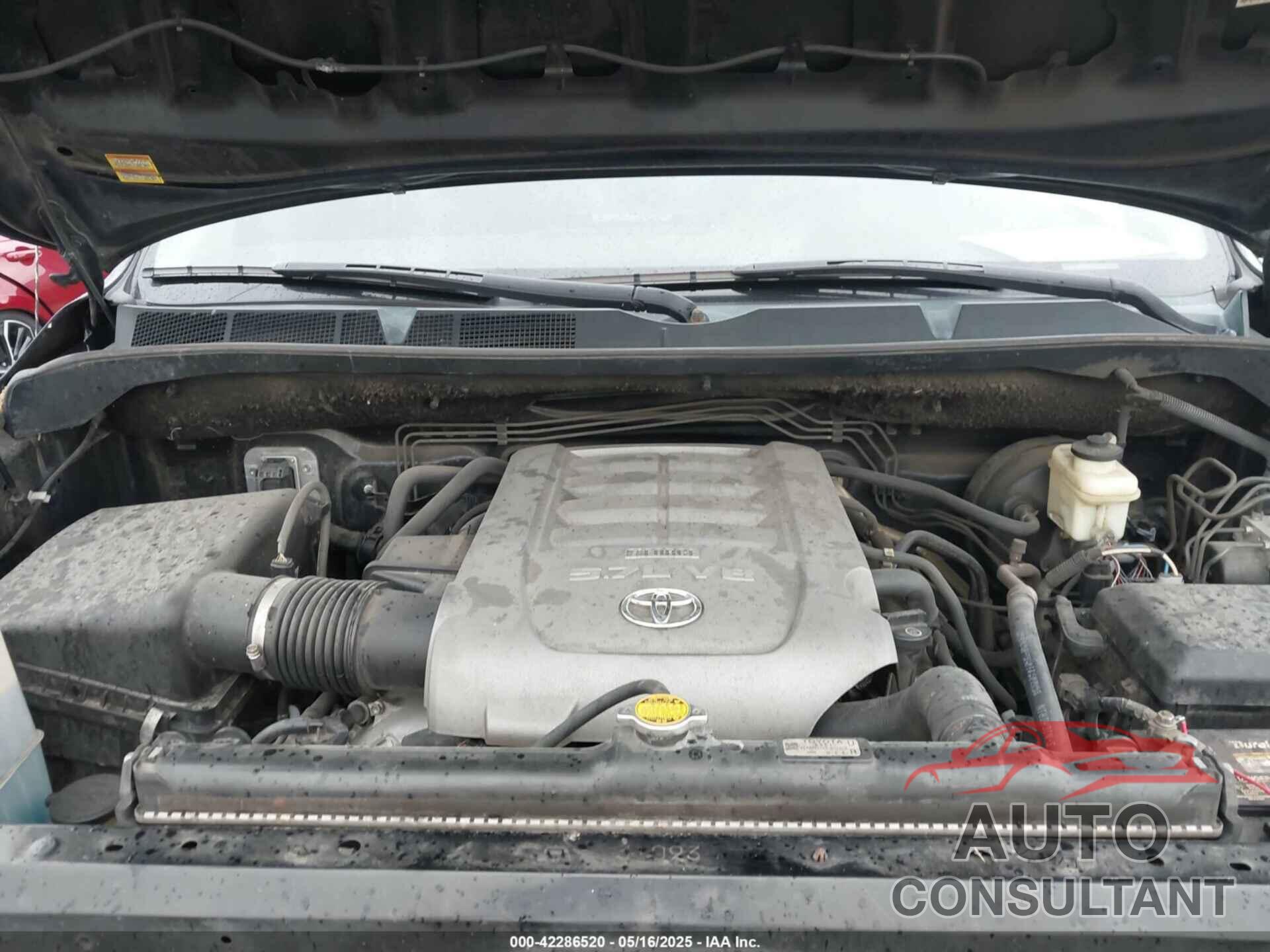 TOYOTA TUNDRA 2010 - 5TFDW5F18AX152579