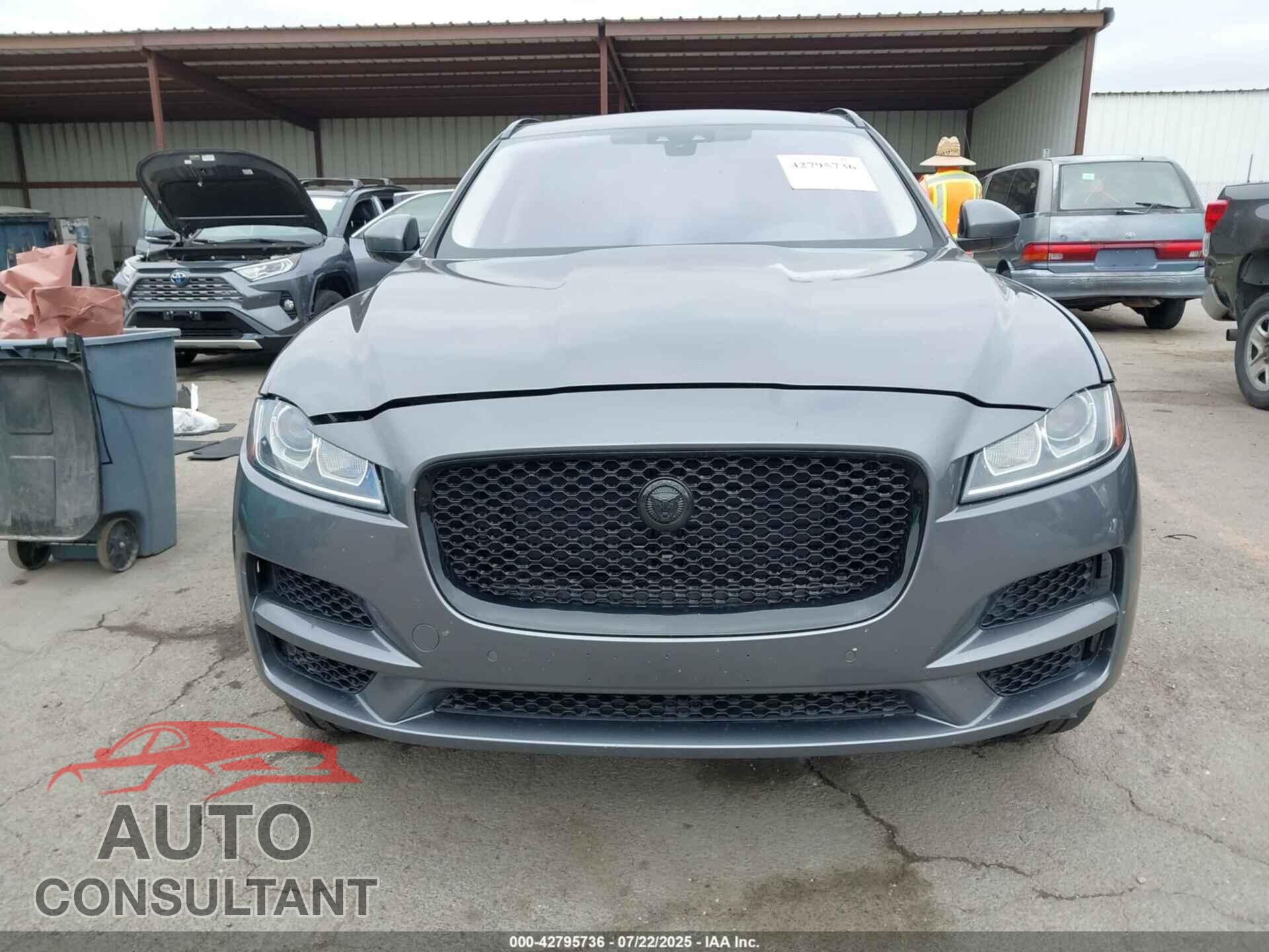JAGUAR F-PACE 2019 - SADCJ2FX2KA358373