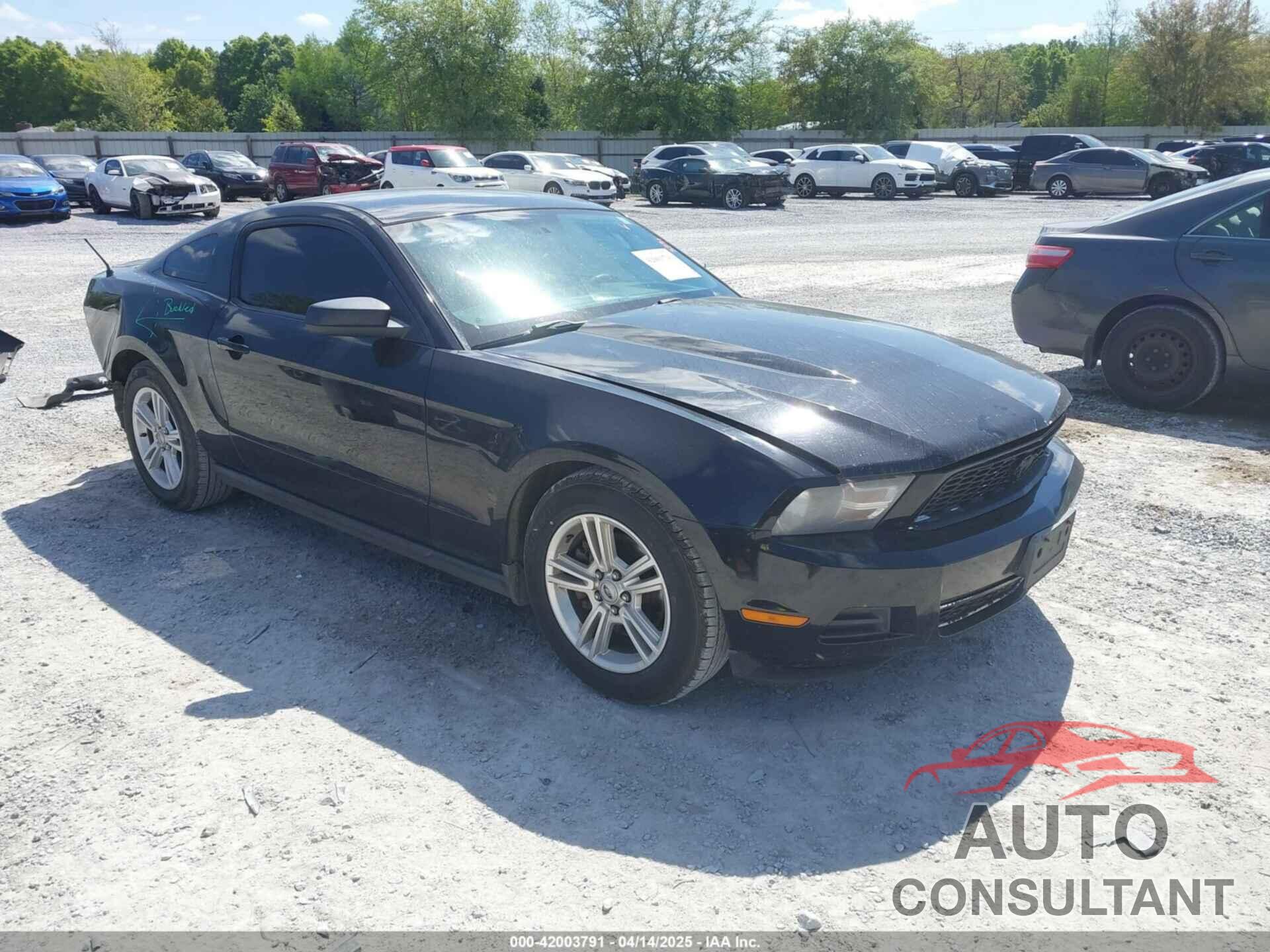 FORD MUSTANG 2011 - 1ZVBP8AM5B5160365