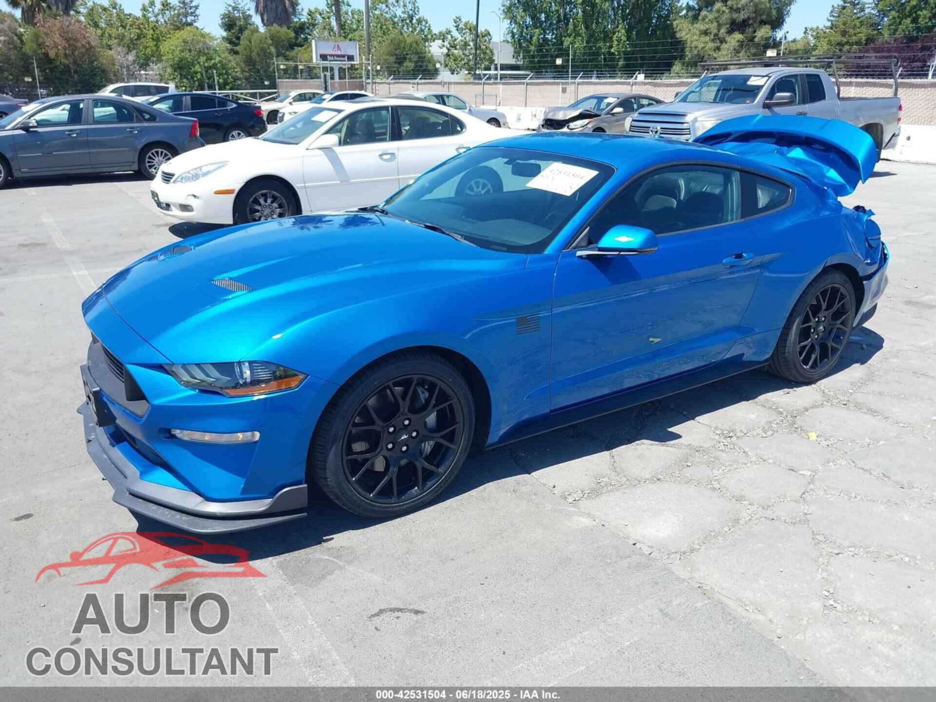 FORD MUSTANG 2019 - 1FA6P8TH7K5119181