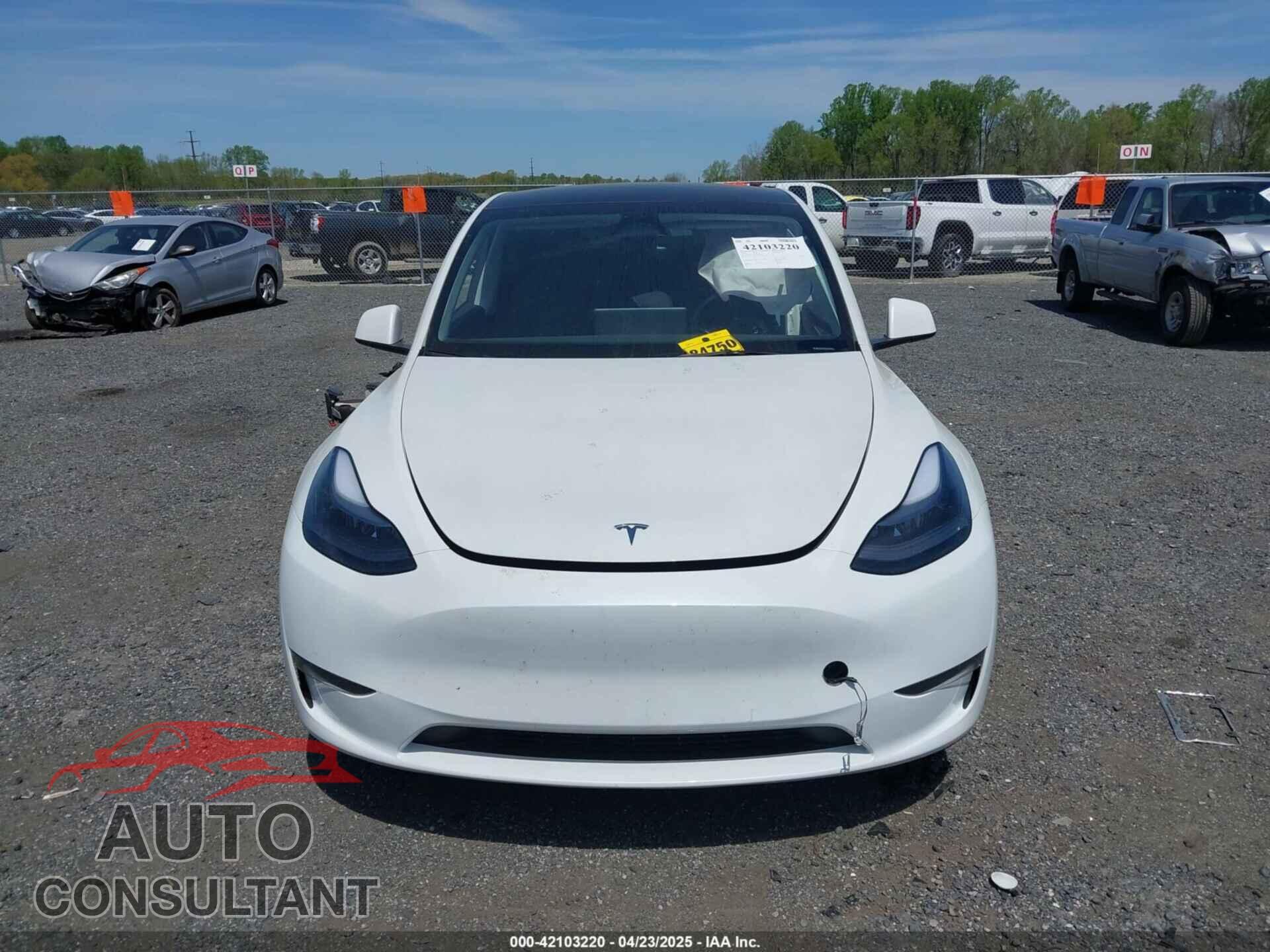 TESLA MODEL Y 2024 - 7SAYGDEE2RA223679
