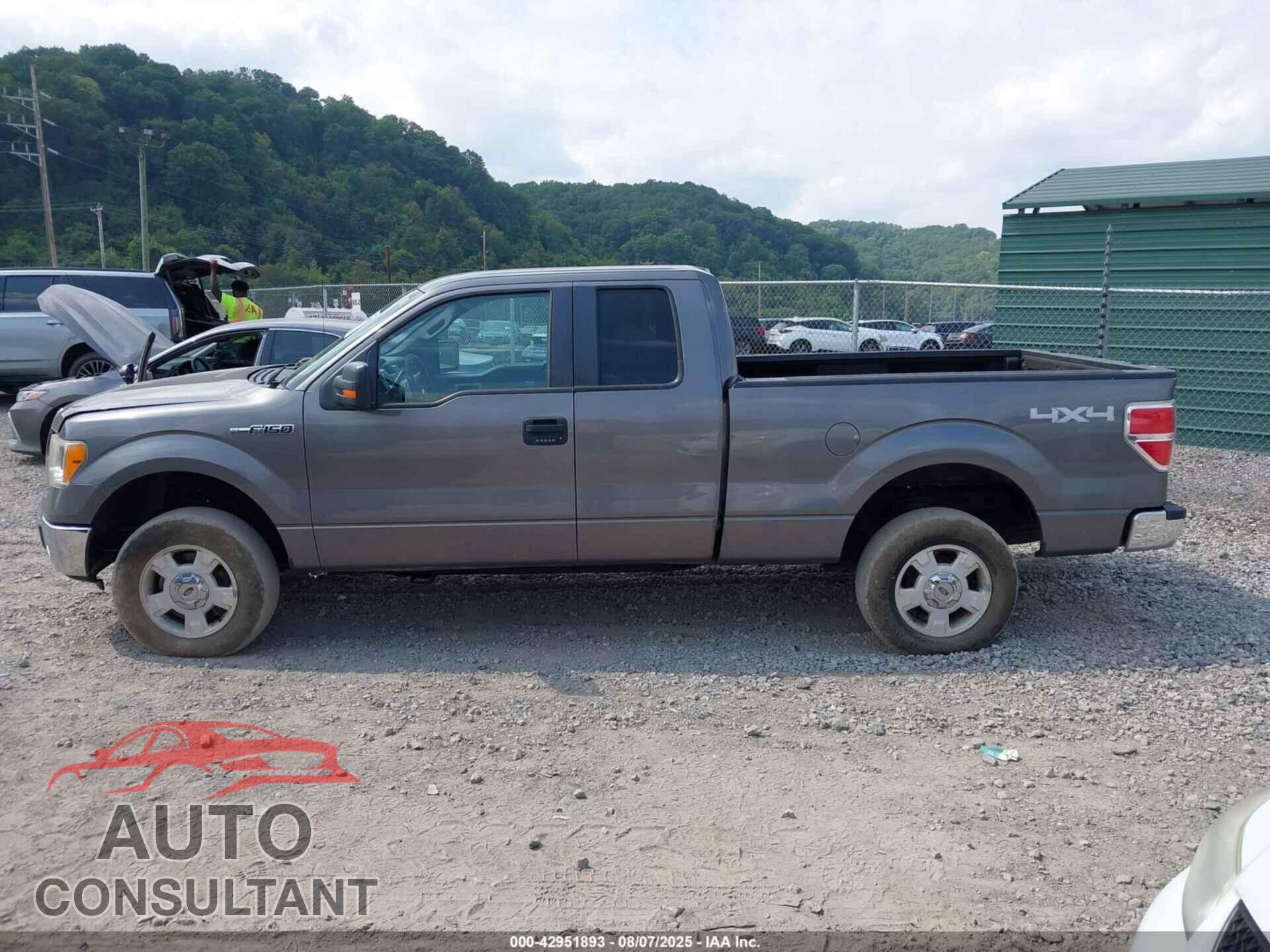 FORD F-150 2010 - 1FTFX1EV7AKE80981