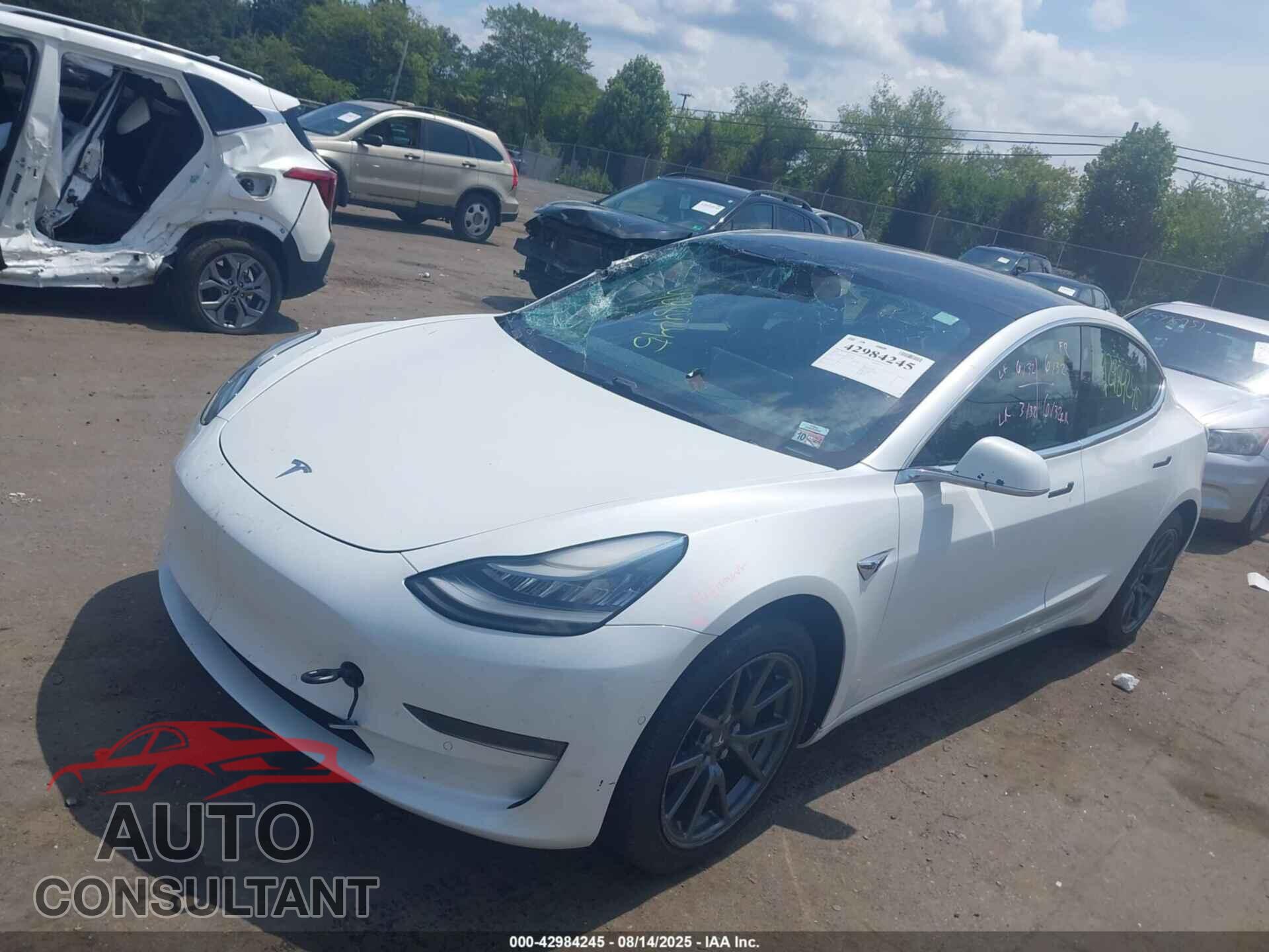 TESLA MODEL 3 2019 - 5YJ3E1EB9KF493390