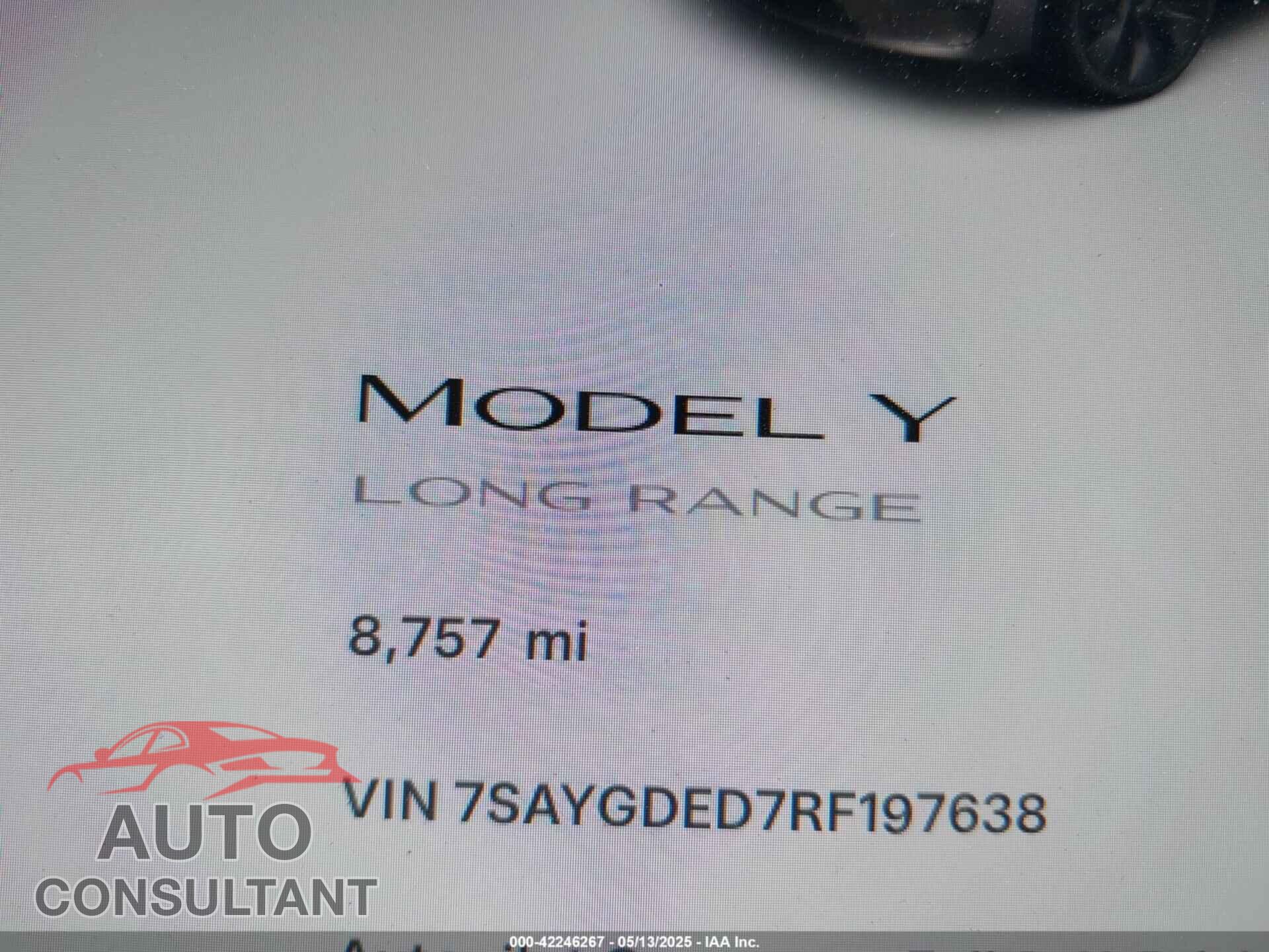 TESLA MODEL Y 2024 - 7SAYGDED7RF197638