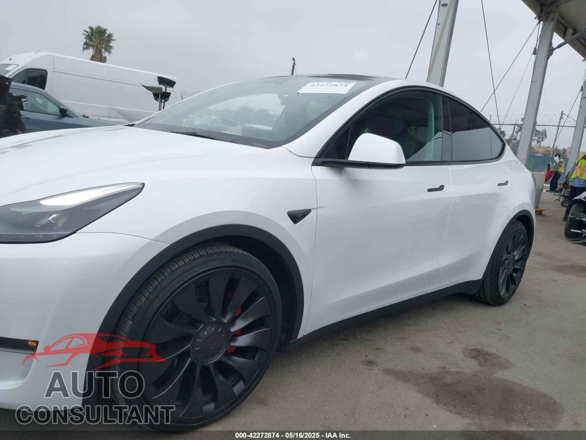 TESLA MODEL Y 2025 - 7SAYGDEF3SF245577
