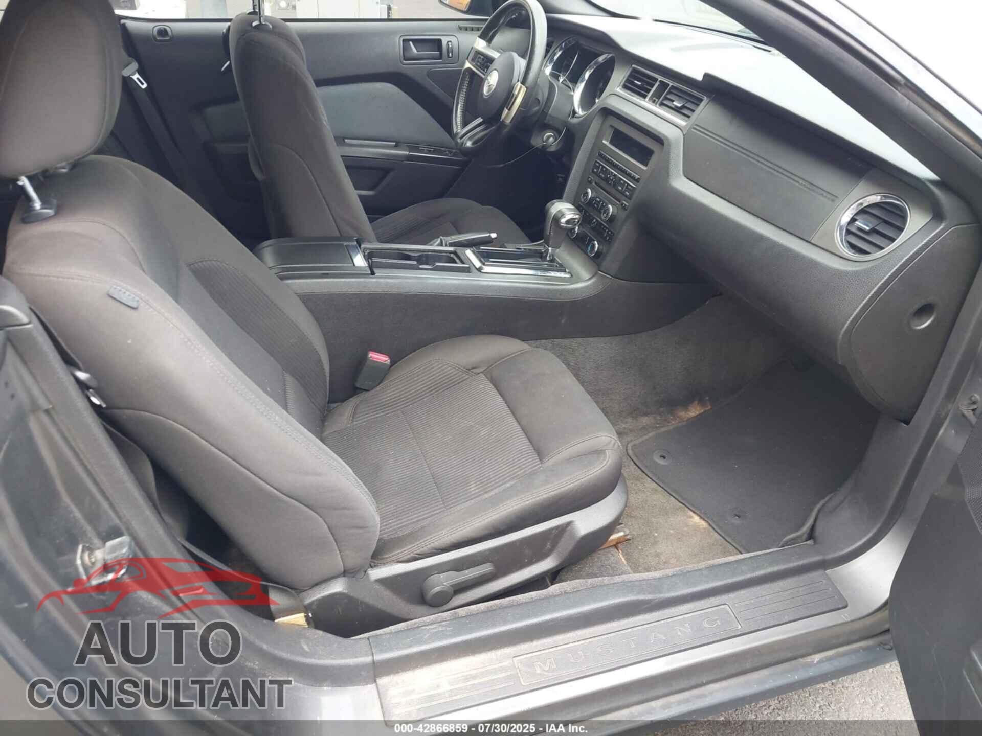 FORD MUSTANG 2011 - 1ZVBP8EM8B5161584