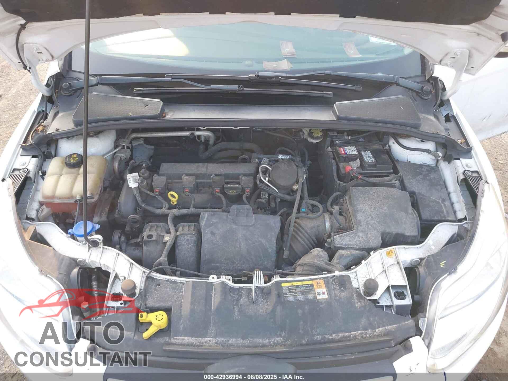 FORD FOCUS 2014 - 1FADP3F26EL263645