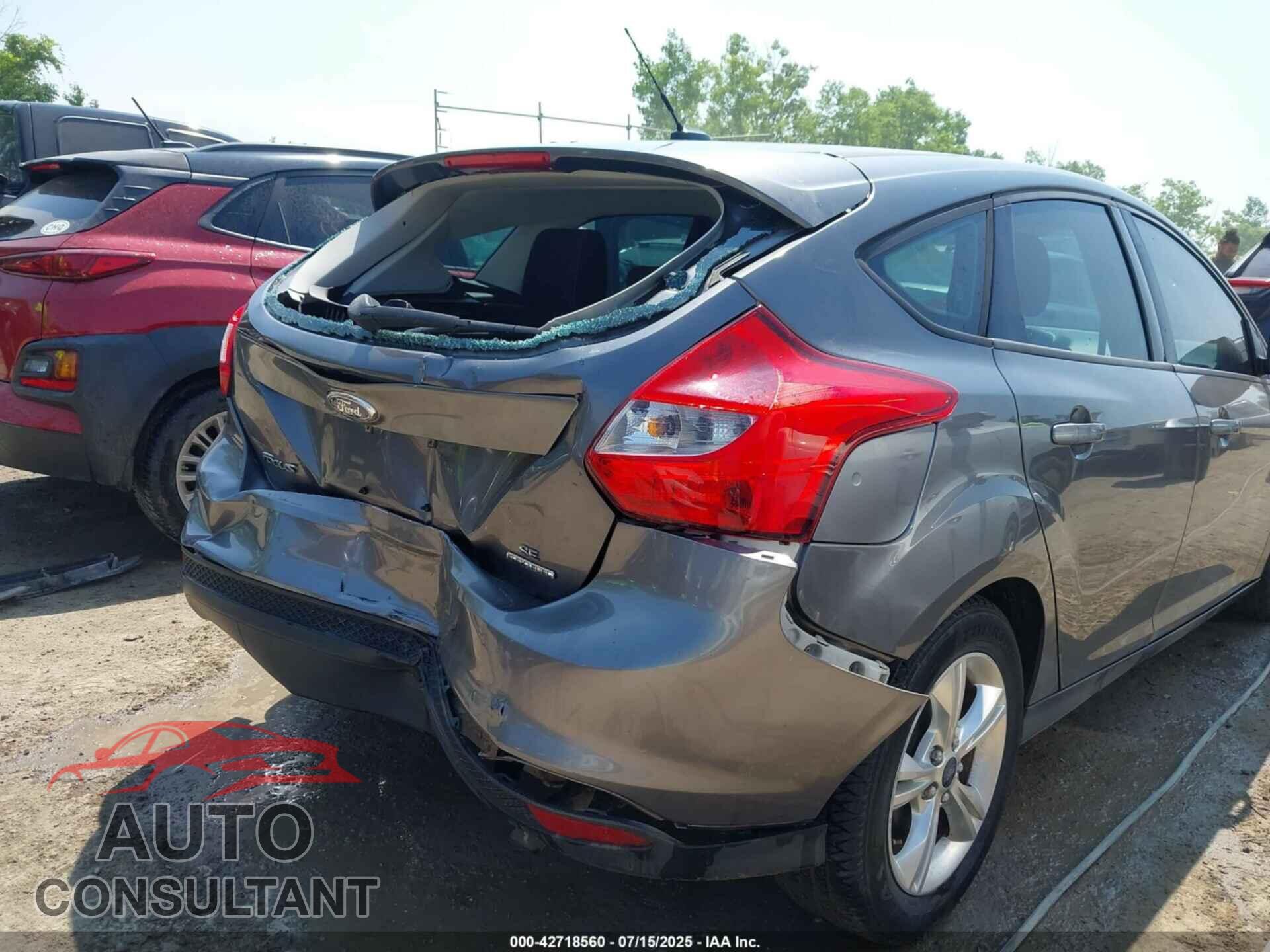 FORD FOCUS 2013 - 1FADP3K20DL231178