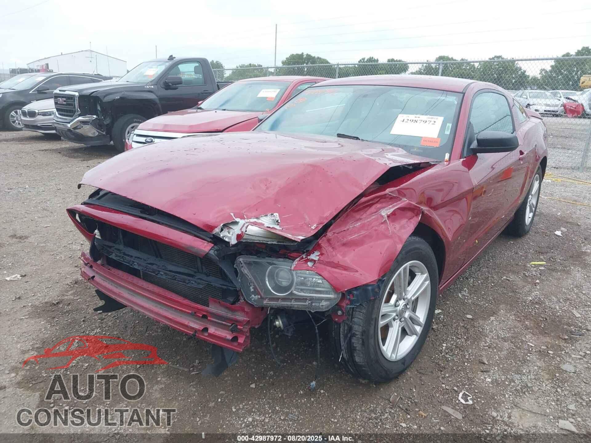 FORD MUSTANG 2014 - 1ZVBP8AM0E5208665