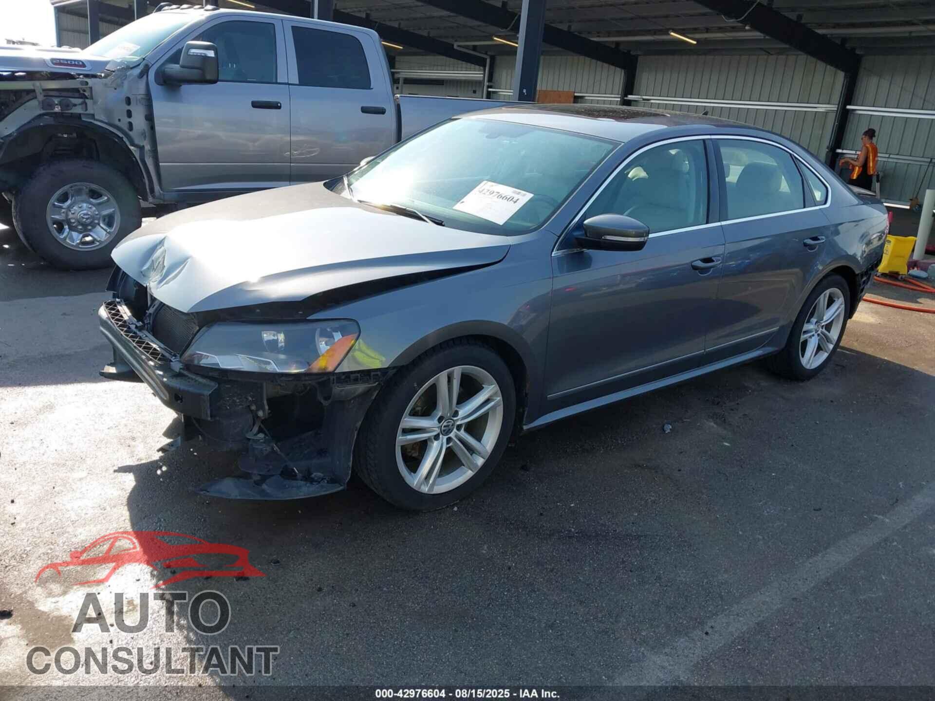 VOLKSWAGEN PASSAT 2013 - 1VWCM7A31DC090912