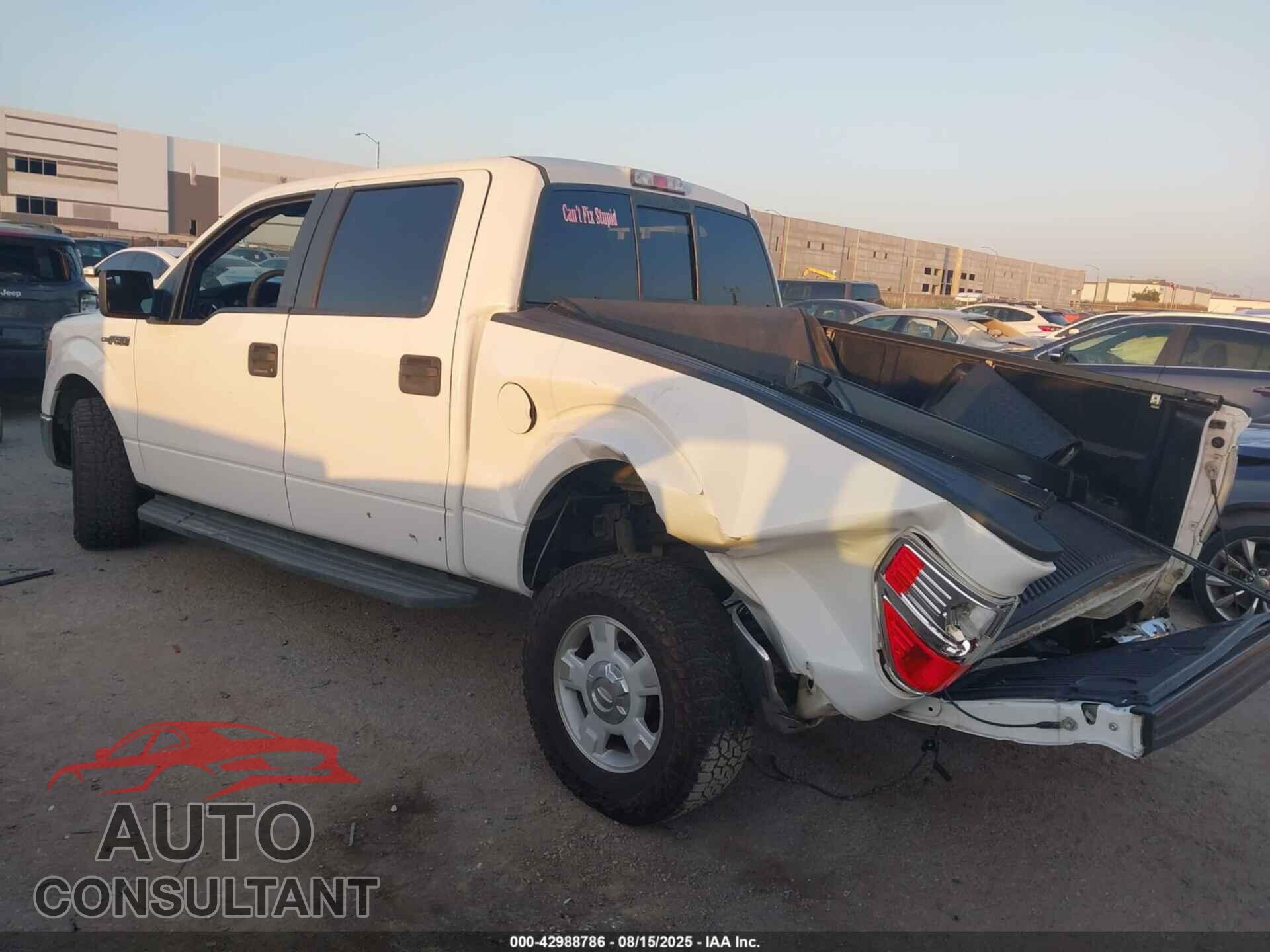 FORD F-150 2013 - 1FTEW1CM8DKE19104