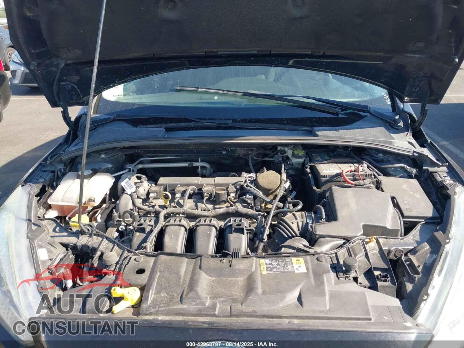 FORD FOCUS 2016 - 1FADP3K22GL270407