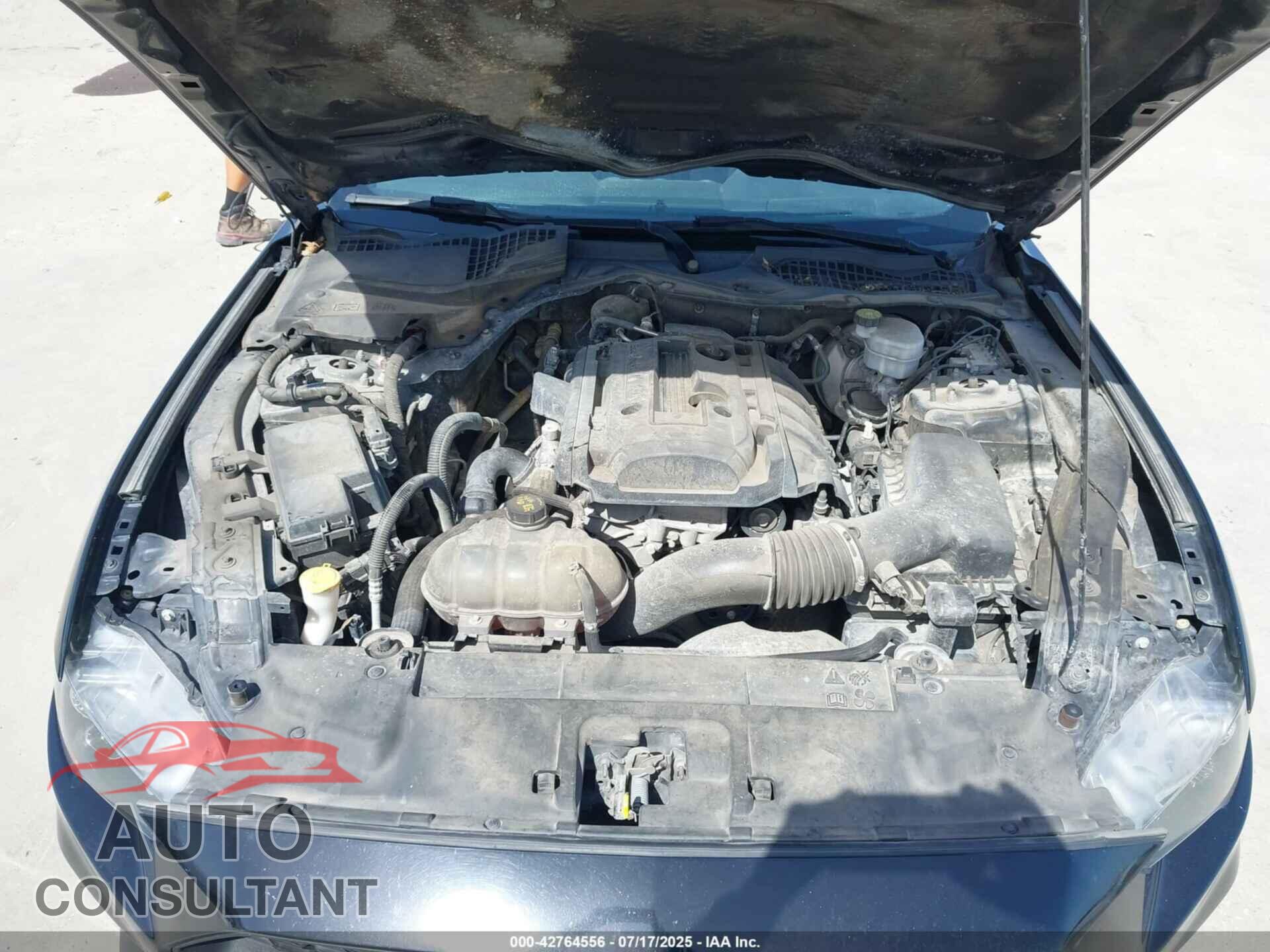FORD MUSTANG 2019 - 1FA6P8TH2K5157868