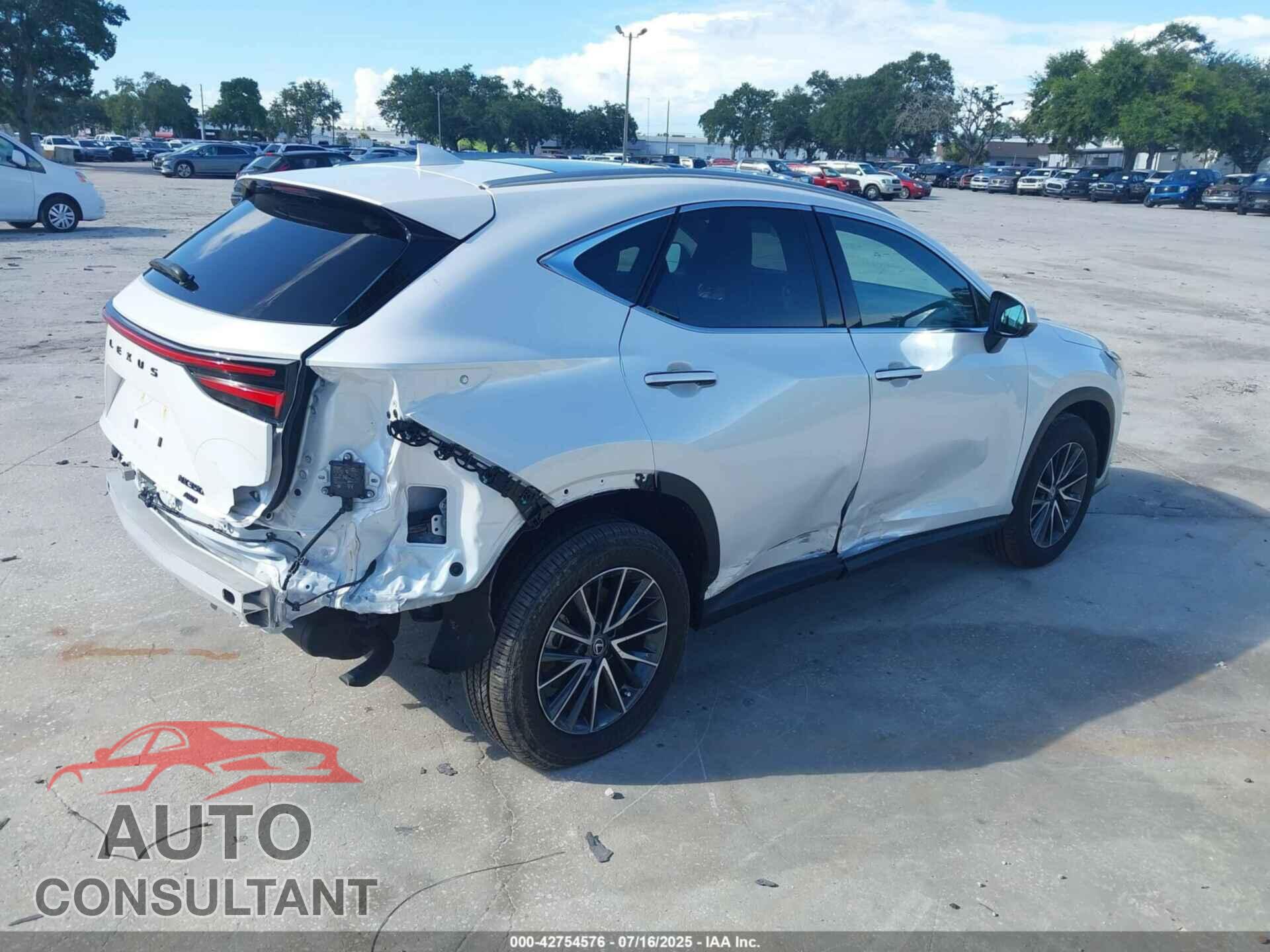 LEXUS NX 350 2025 - 2T2HGCEZ2SC077643