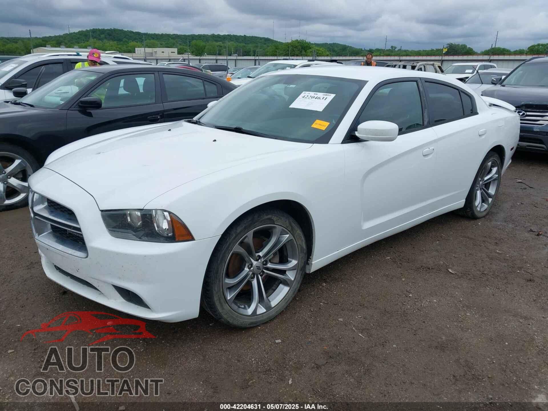DODGE CHARGER 2014 - 2C3CDXHGXEH207546
