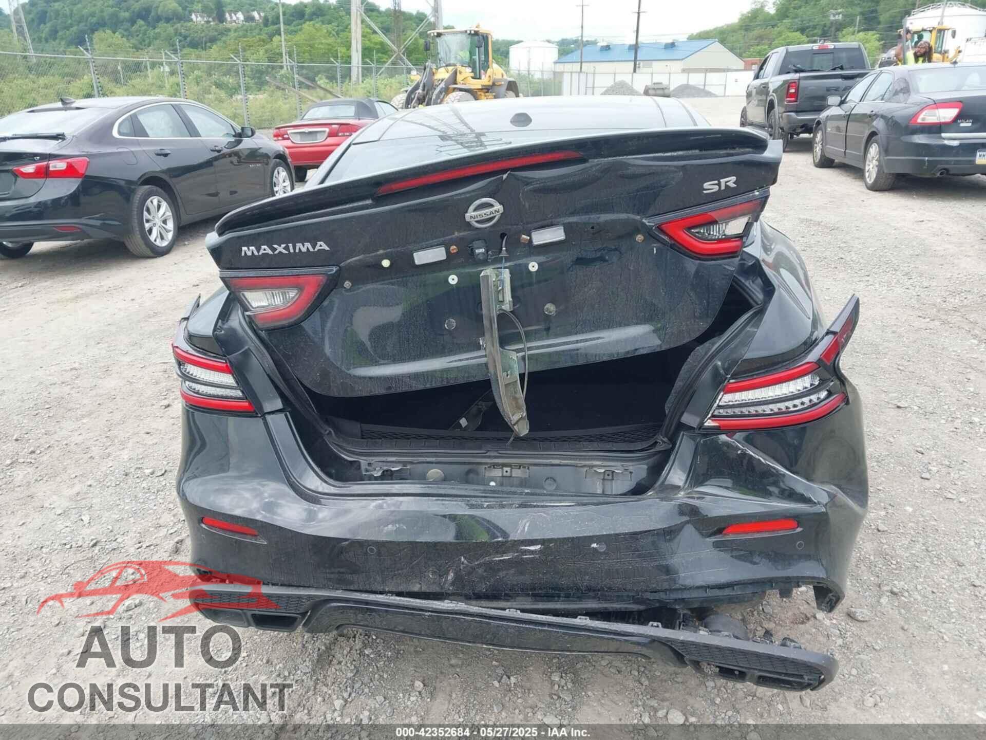 NISSAN MAXIMA 2019 - 1N4AA6AV2KC379489
