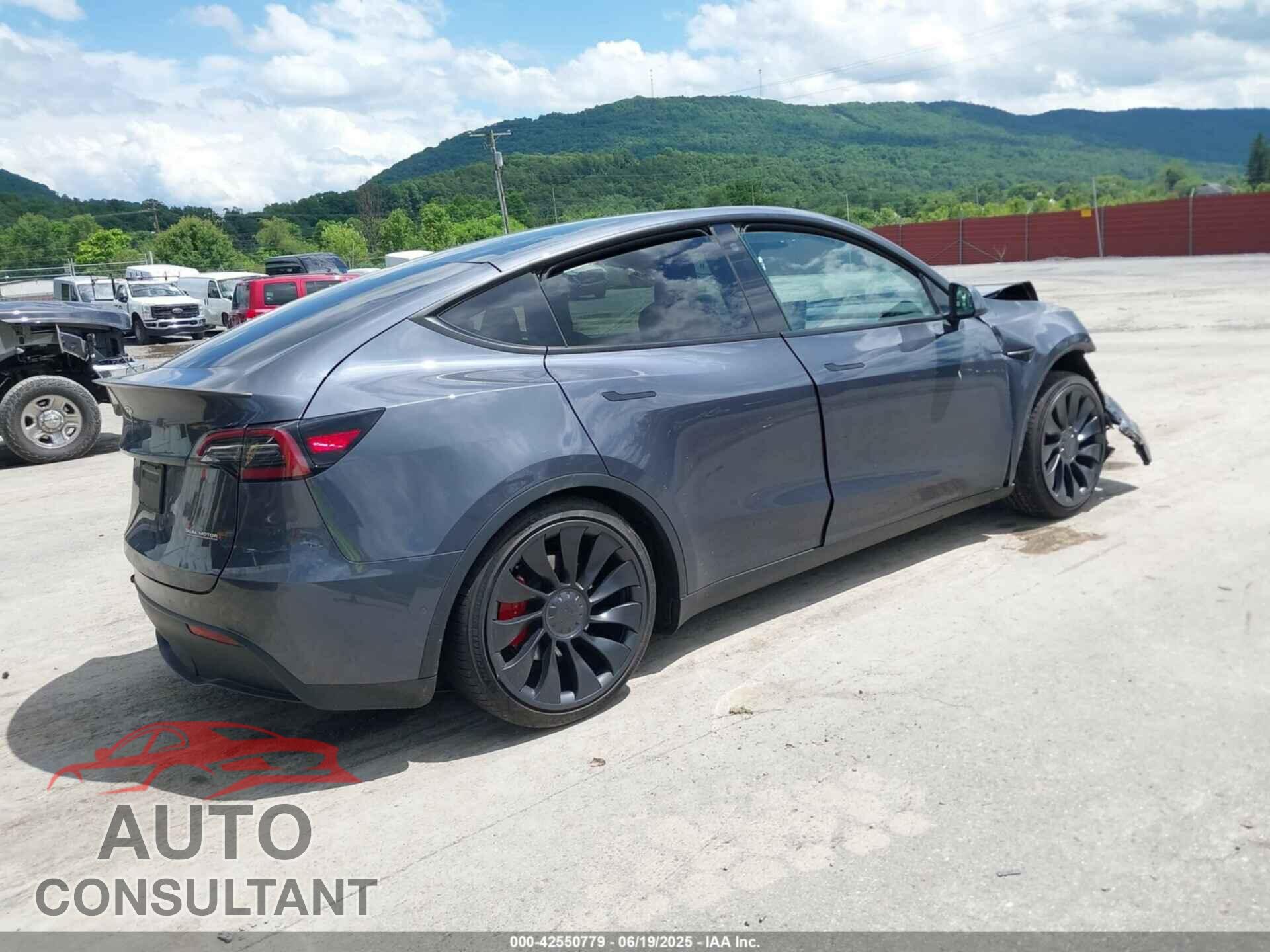 TESLA MODEL Y 2022 - 7SAYGDEF5NF534867