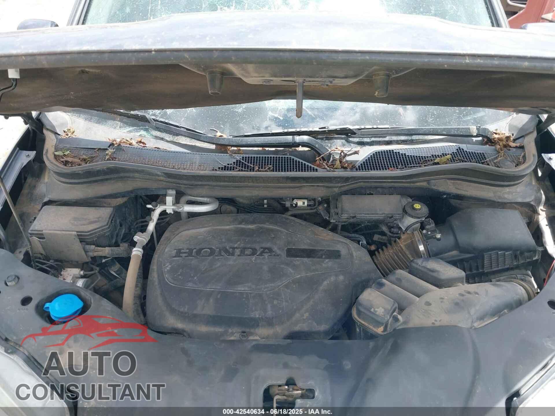 HONDA RIDGELINE 2020 - 5FPYK3F18LB029404