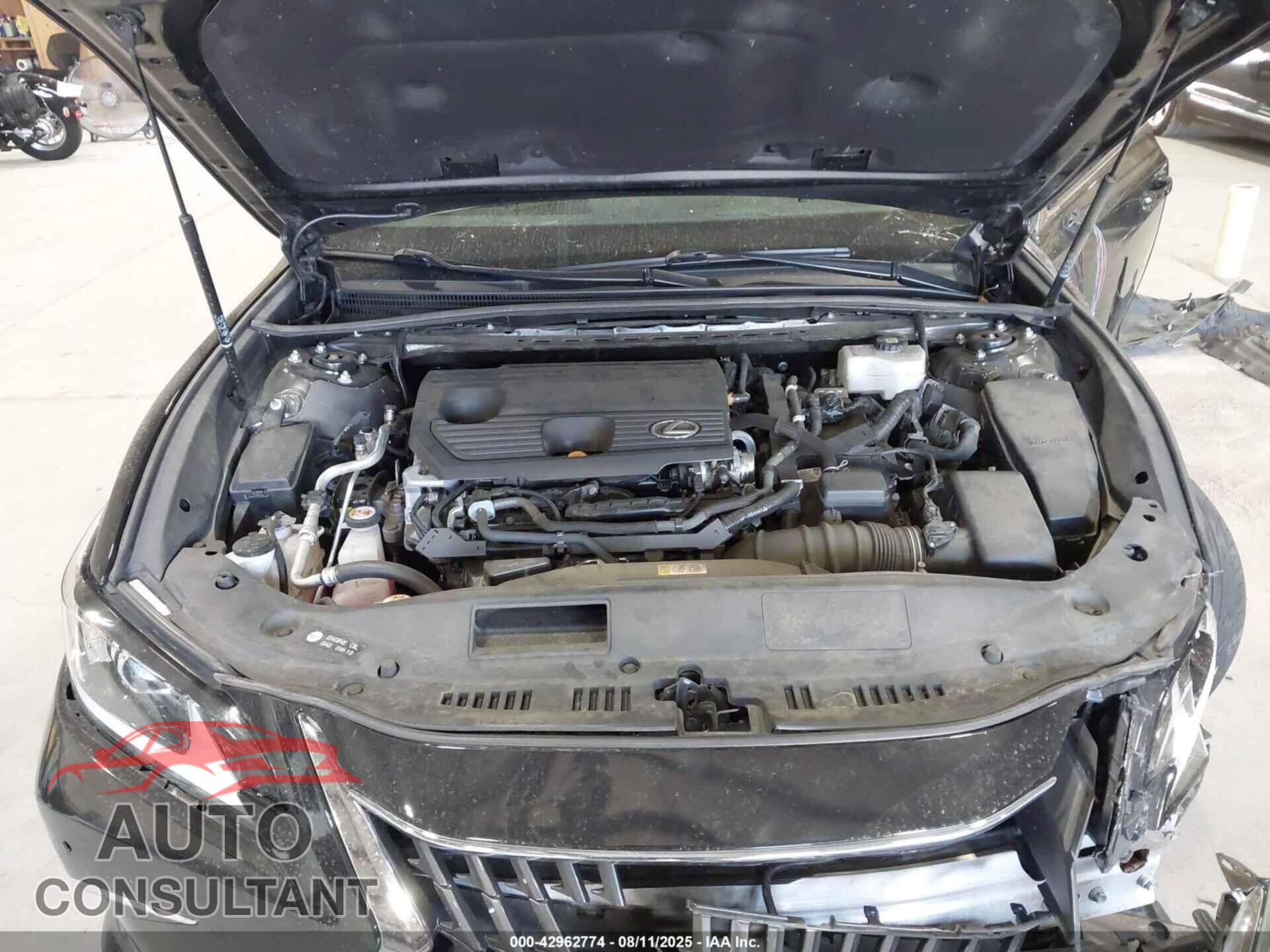 LEXUS ES 300H 2023 - 58ADA1C16PU035237