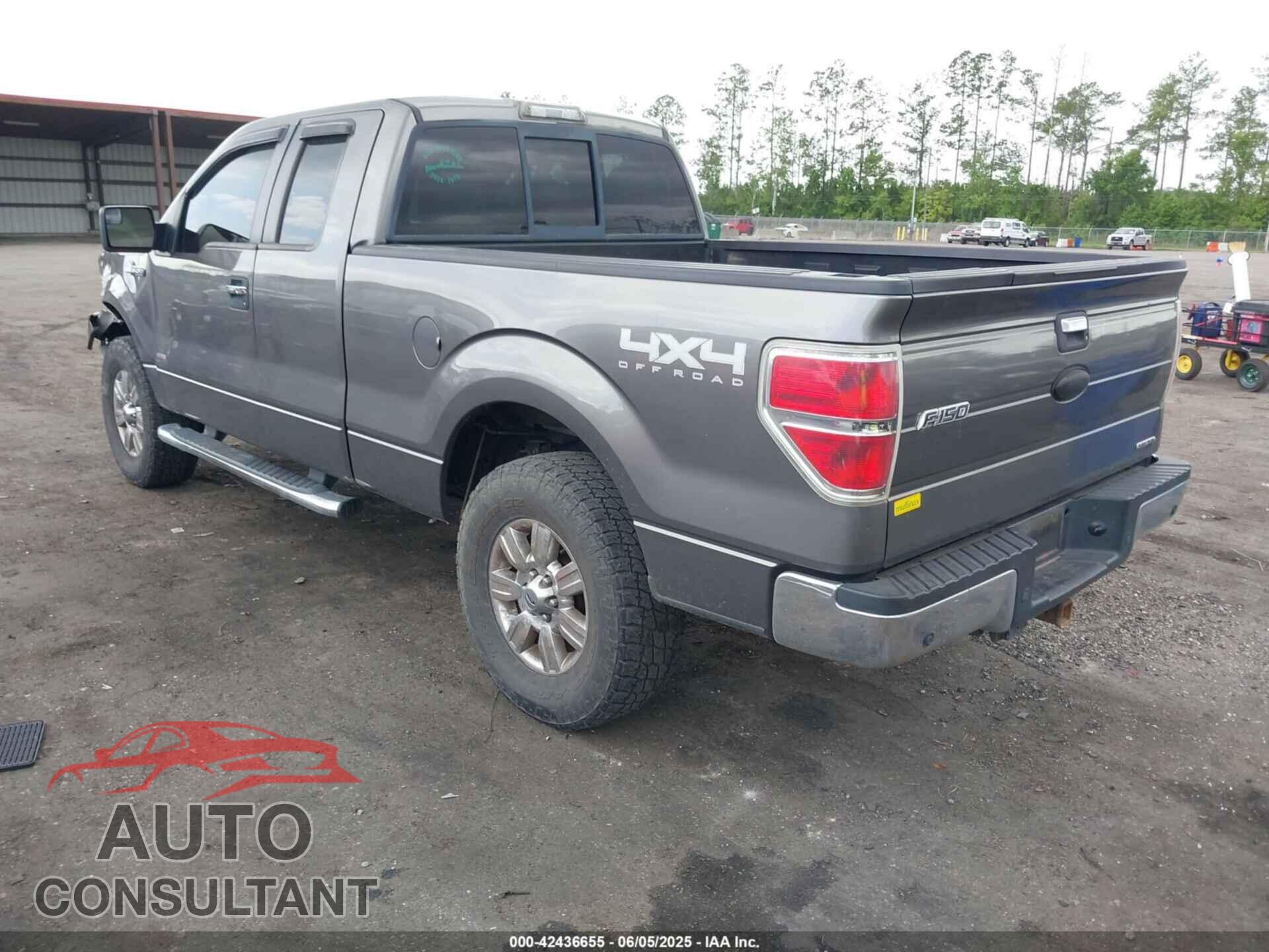 FORD F-150 2011 - 1FTFX1EF0BFB60419