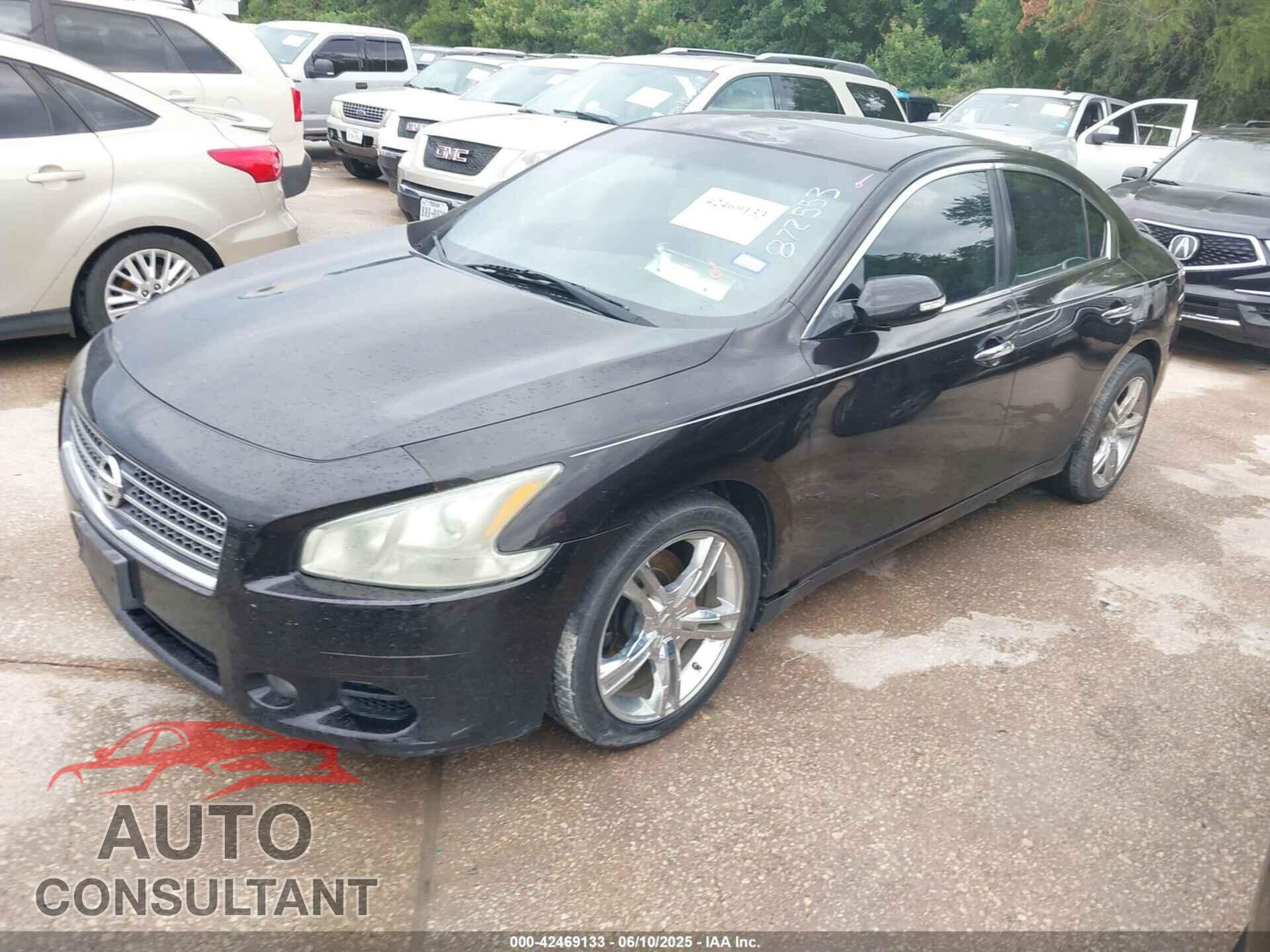 NISSAN MAXIMA 2010 - 1N4AA5AP4AC872553