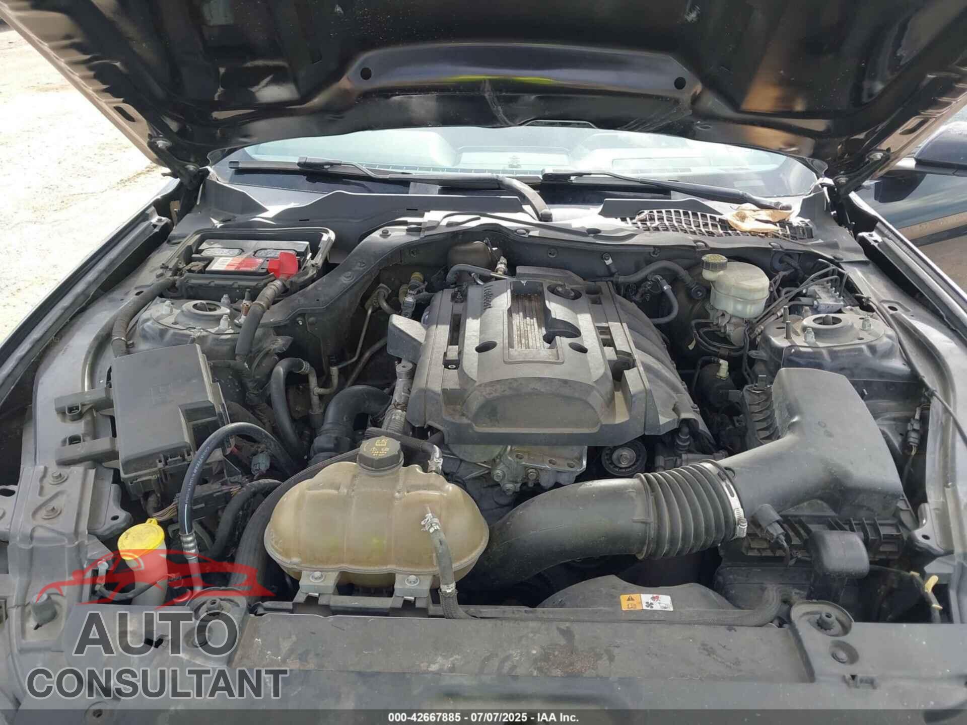 FORD MUSTANG 2015 - 1FA6P8TH6F5319636